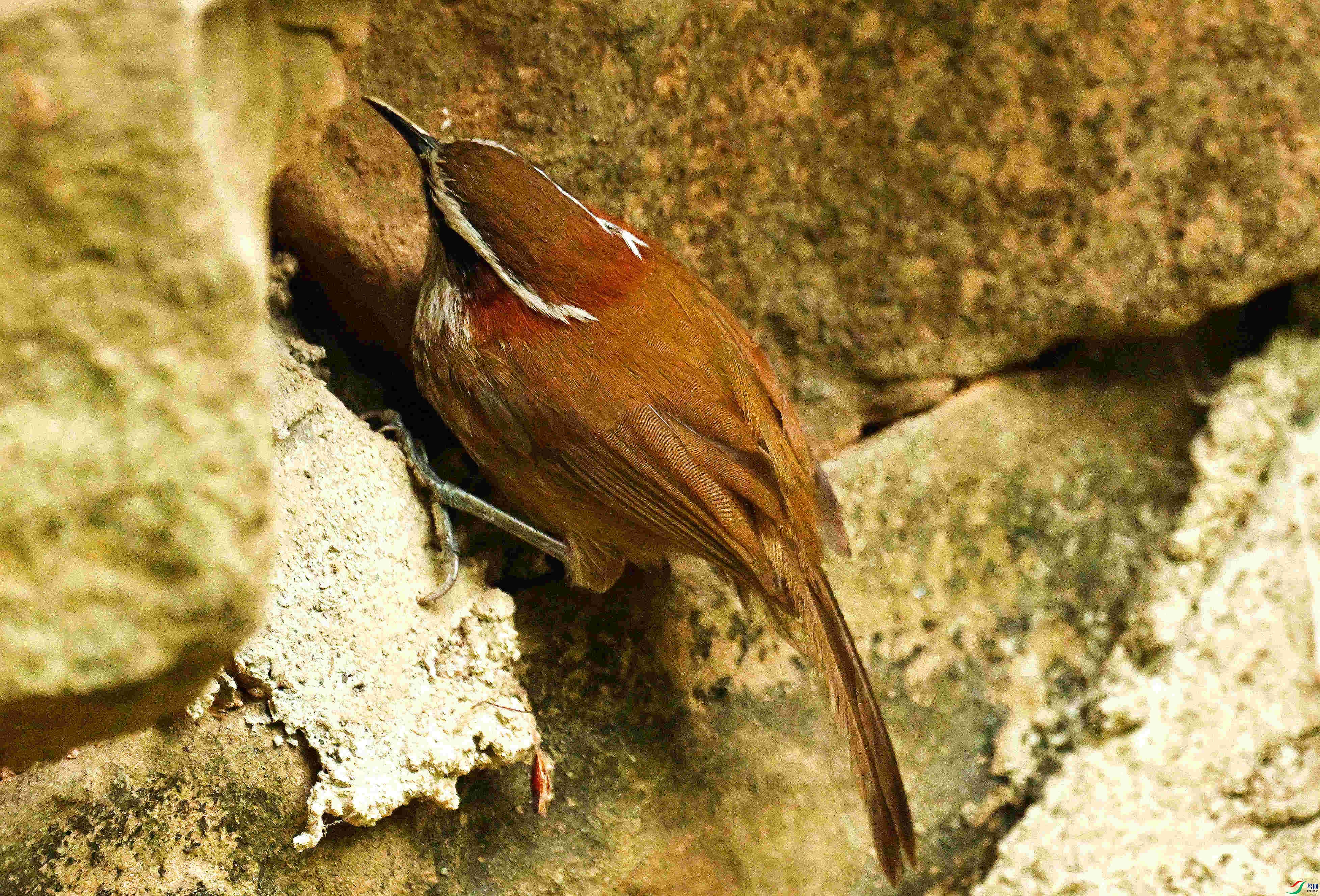 DSC_9214.JPG