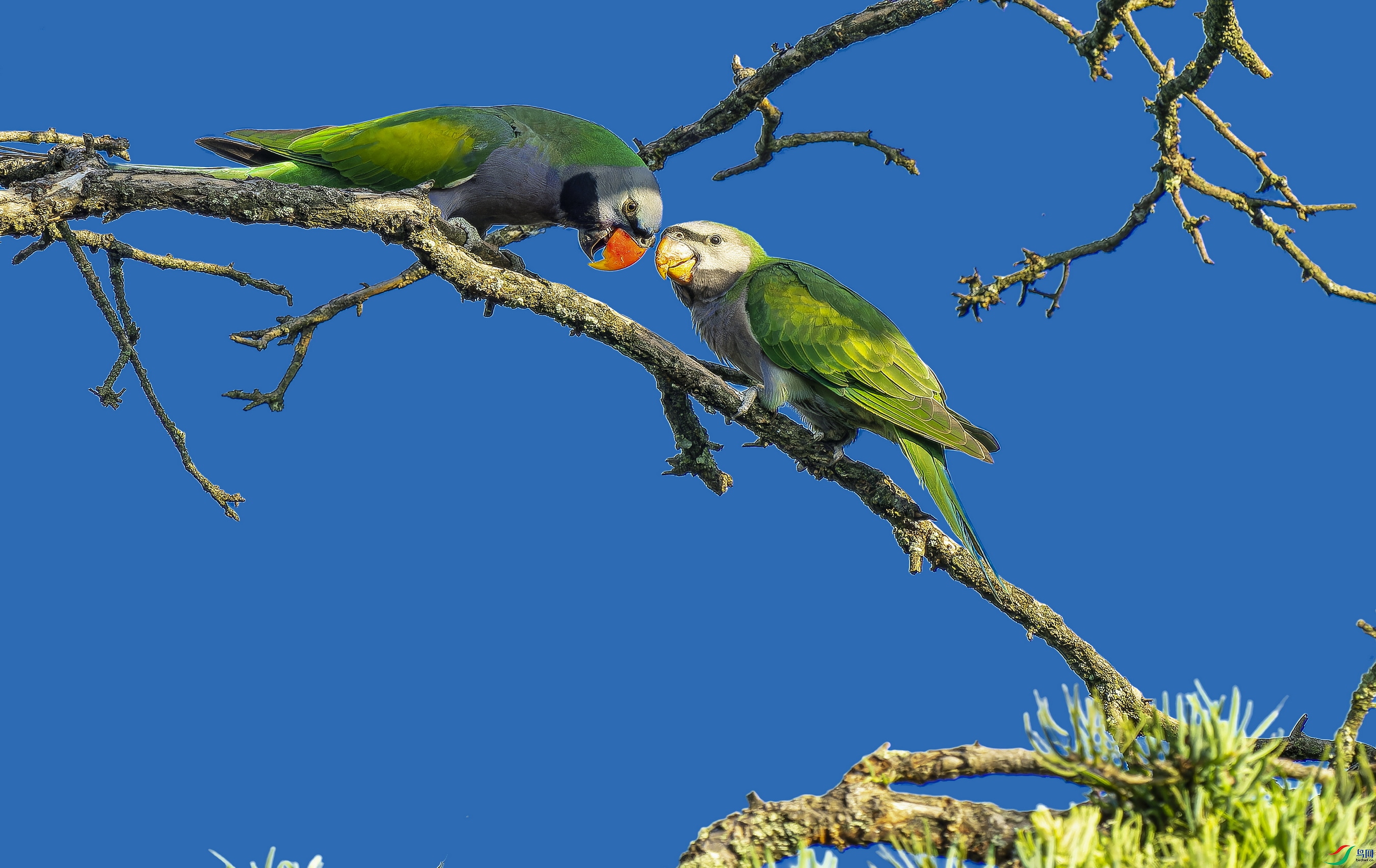 ���������� (1)-1.jpg