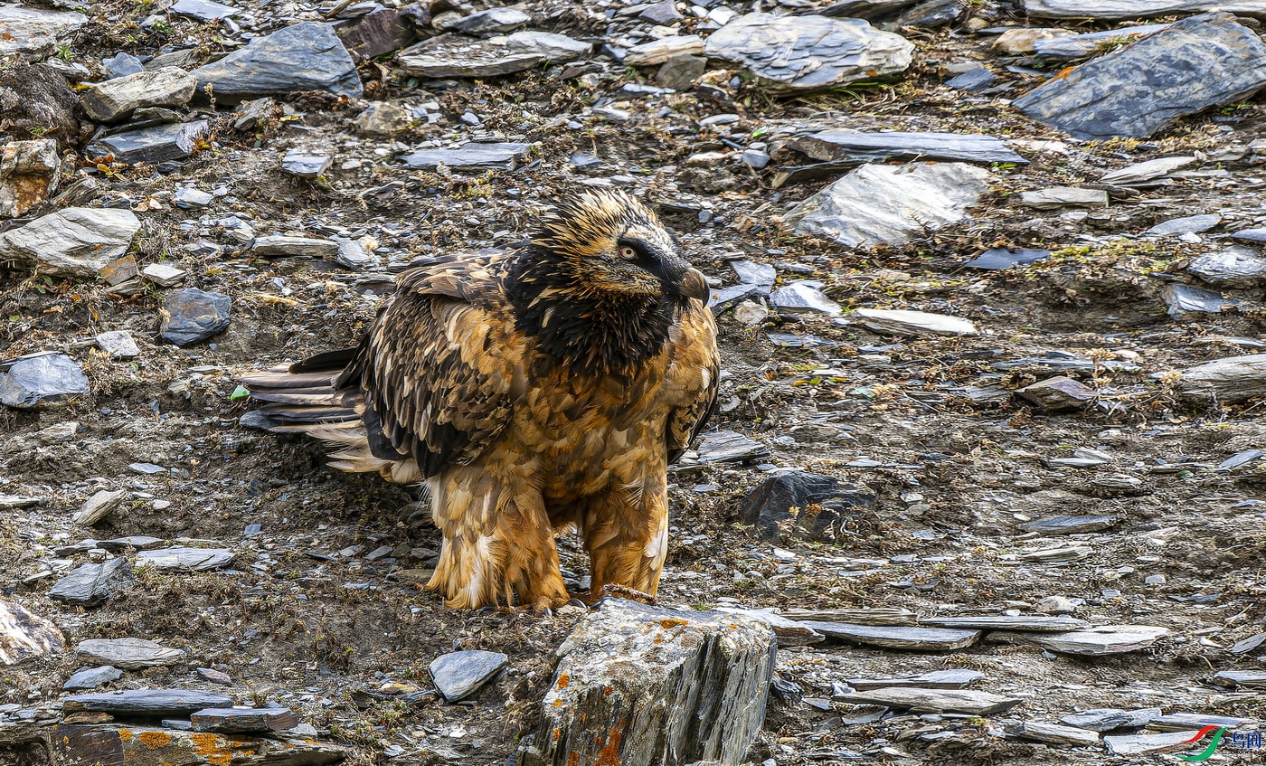 ��أ��  (8)-1.jpg