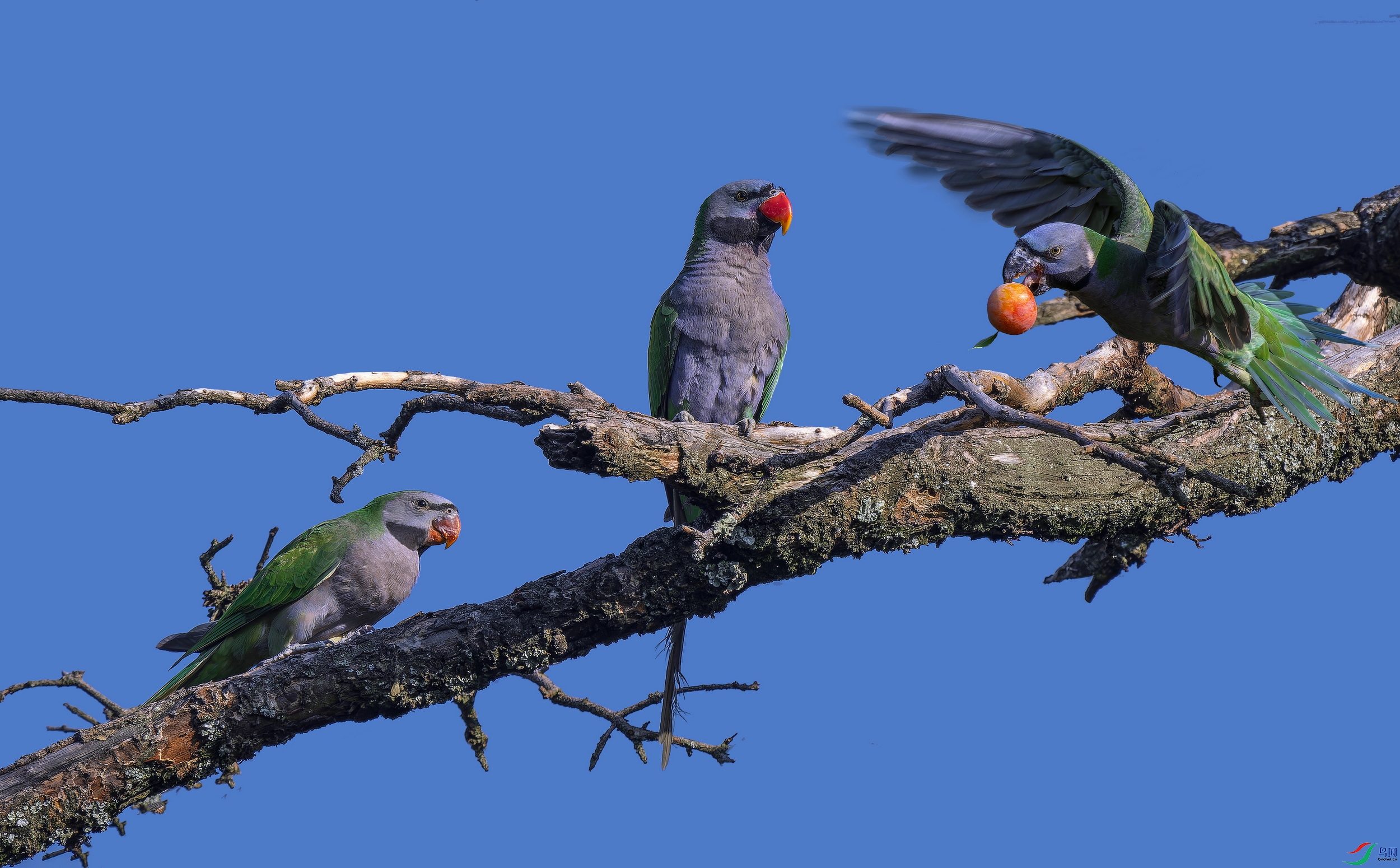 ���������� (9)-1-01.jpg