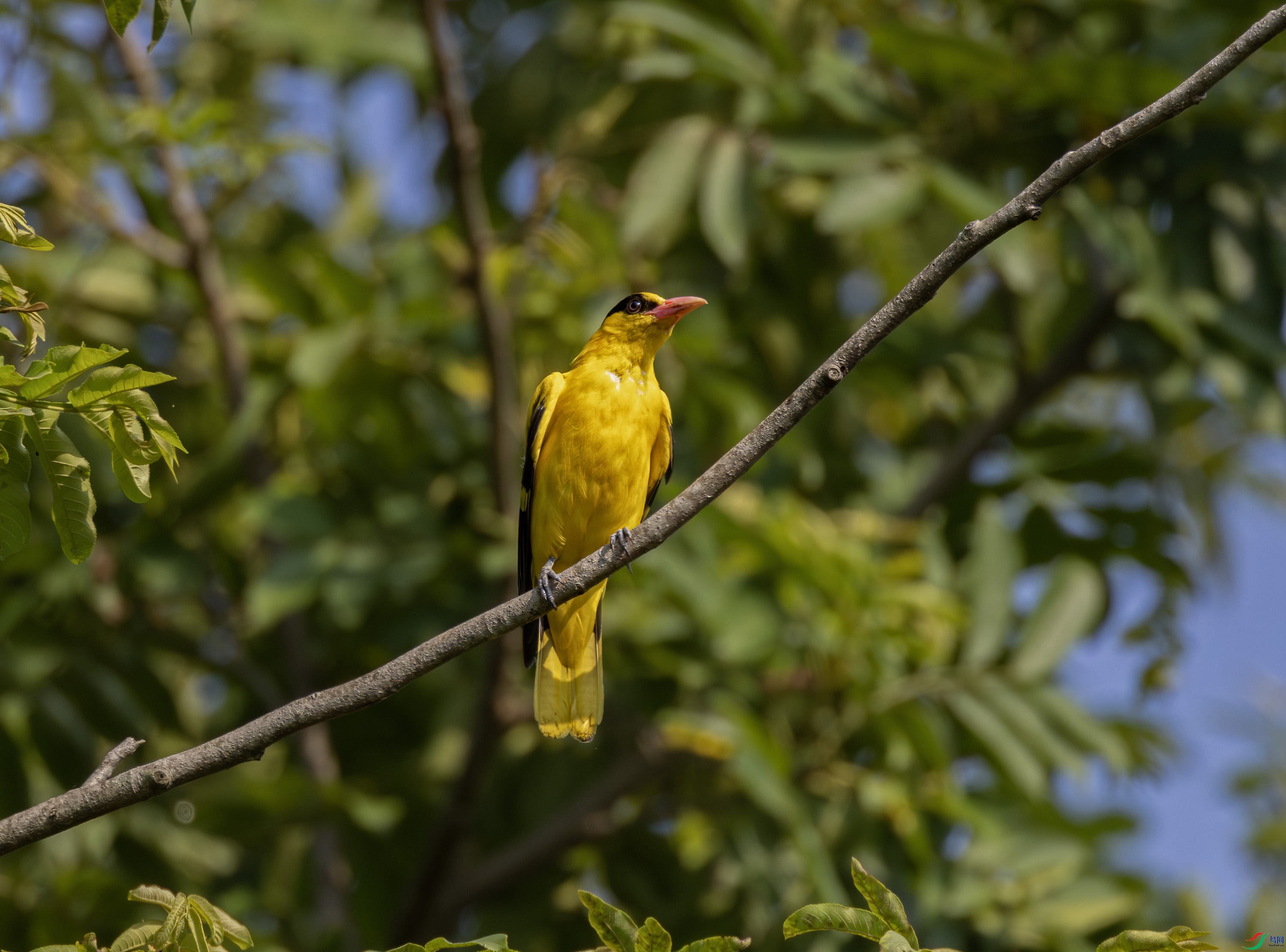 2I1A1132-����ǿ-NR-1 ����.jpg