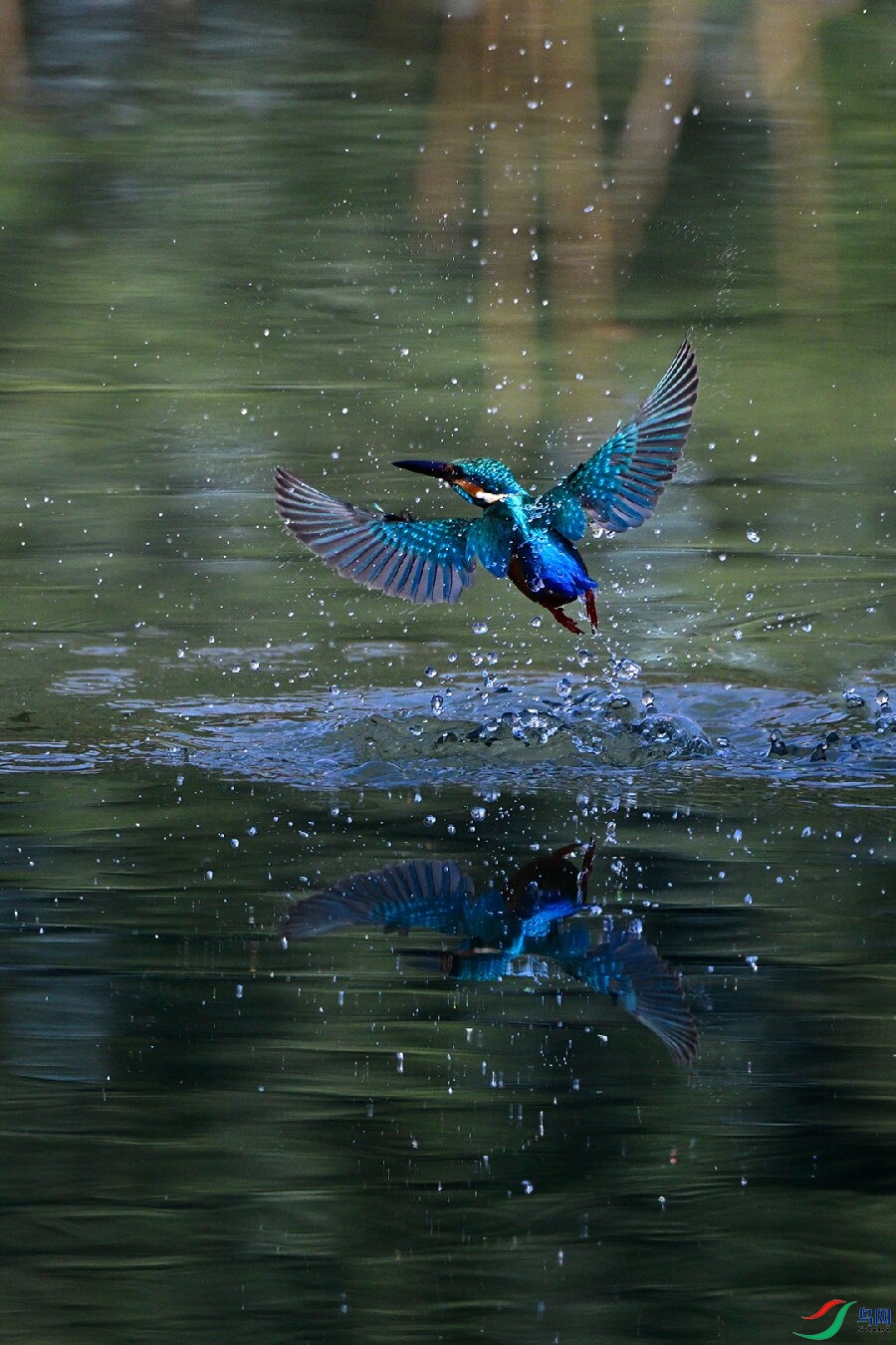 _DSC0192 ����.jpg