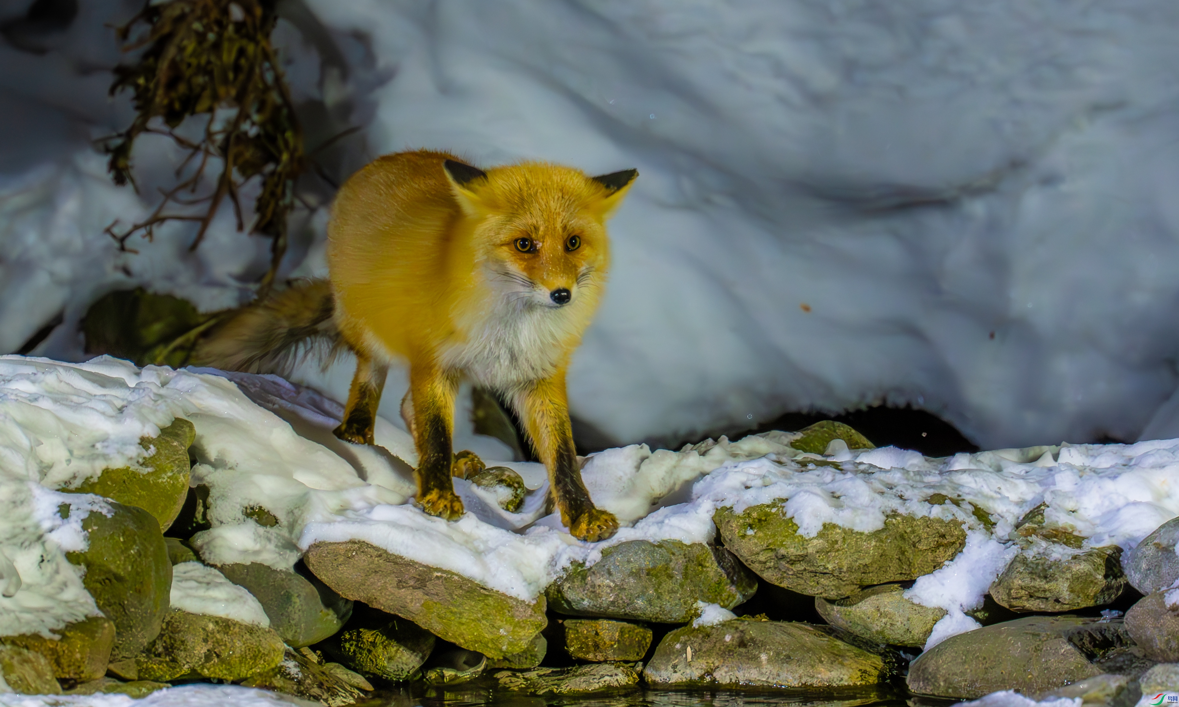 _DSC3101.jpg