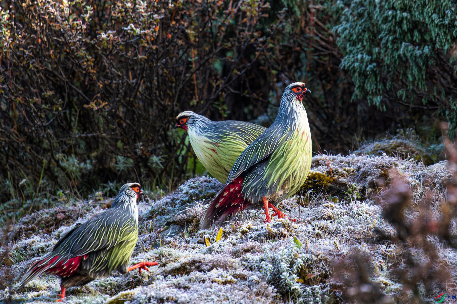 _00A0075-CR2_DxO_DeepPRIMEXD-1.jpg