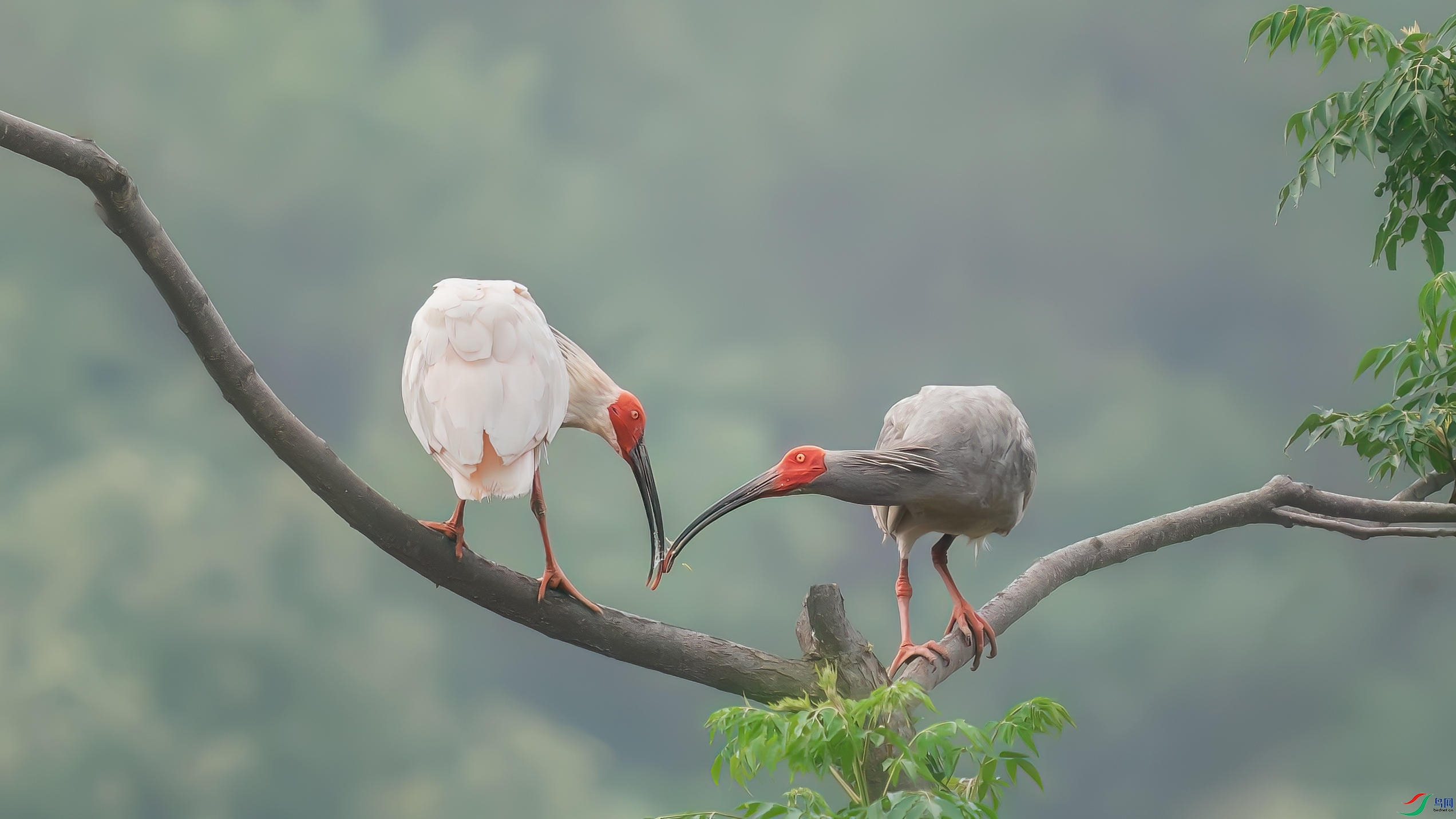 _DSC3331 ����.jpg