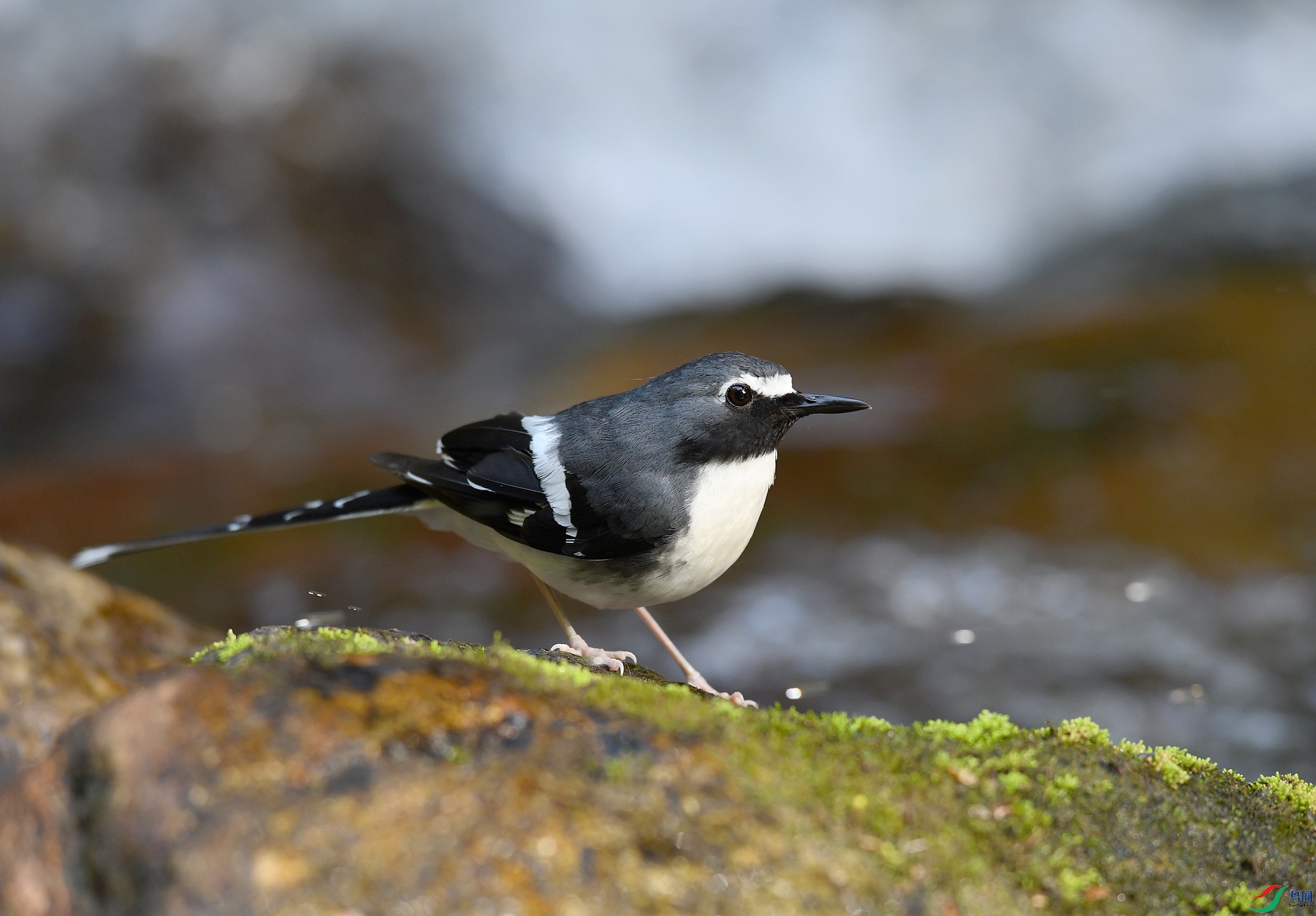 DSC_7932.jpg