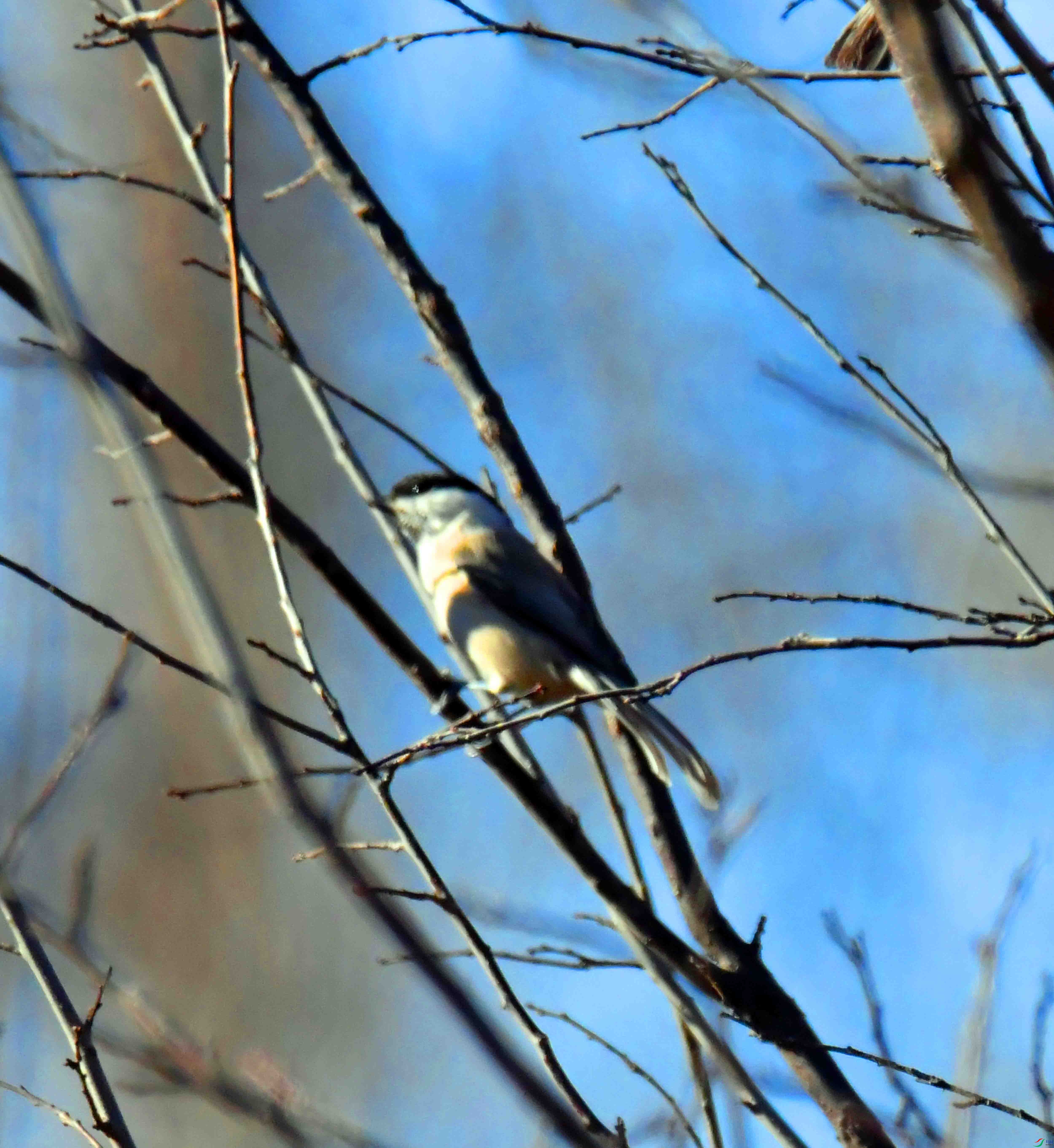 DSC_6568.JPG