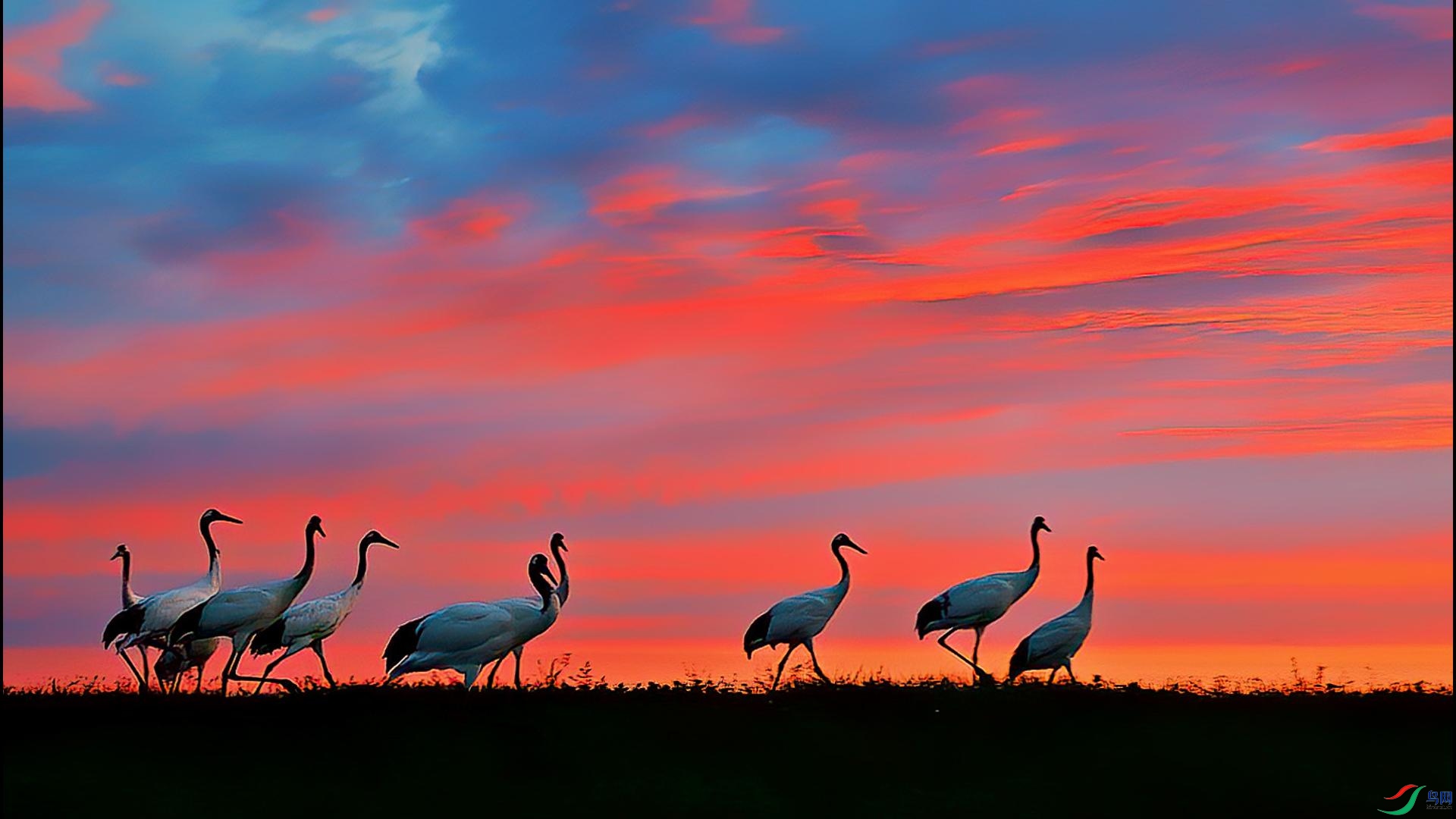 ����ϼ��