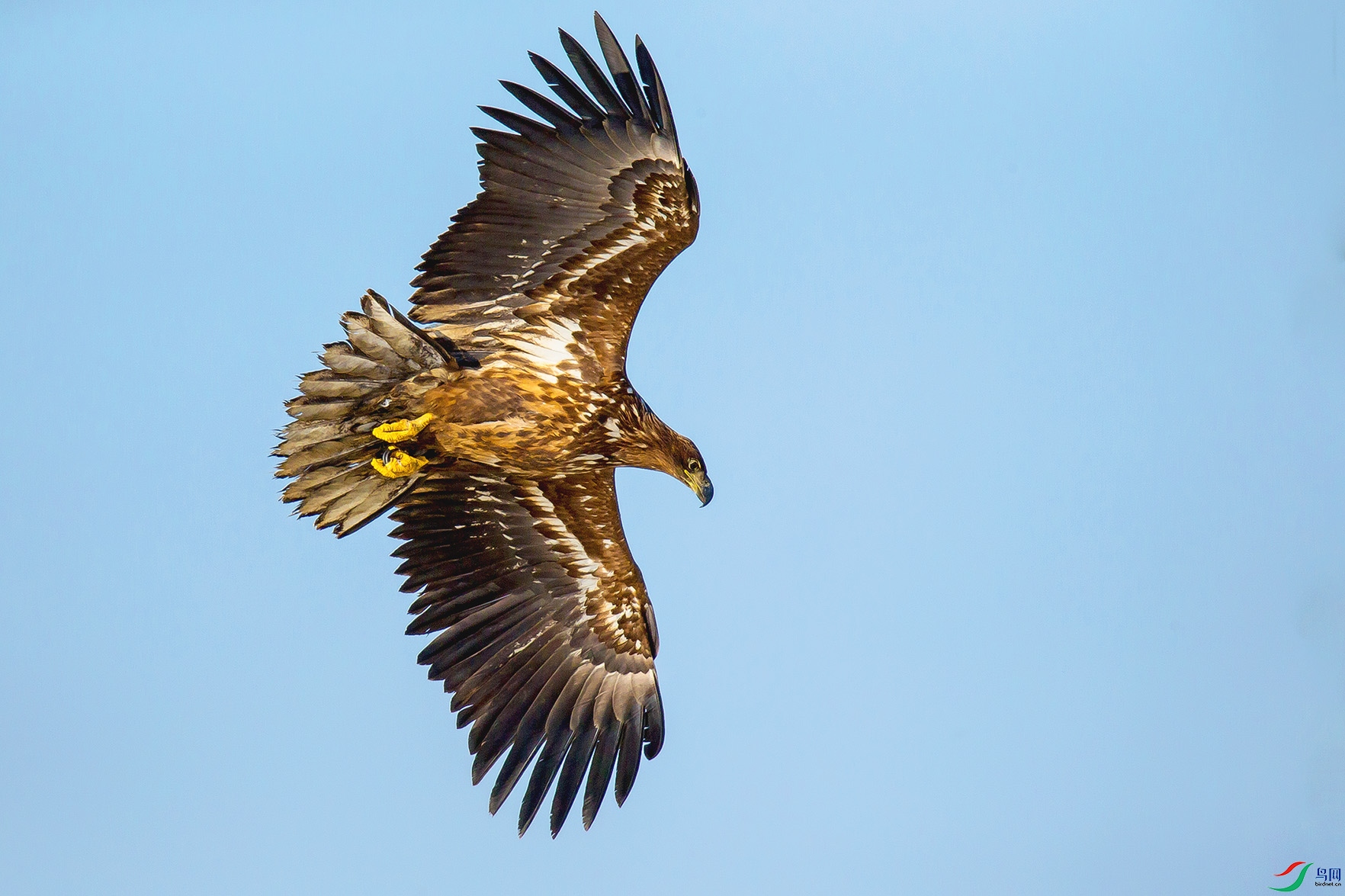 _MG_0468 ����.jpg