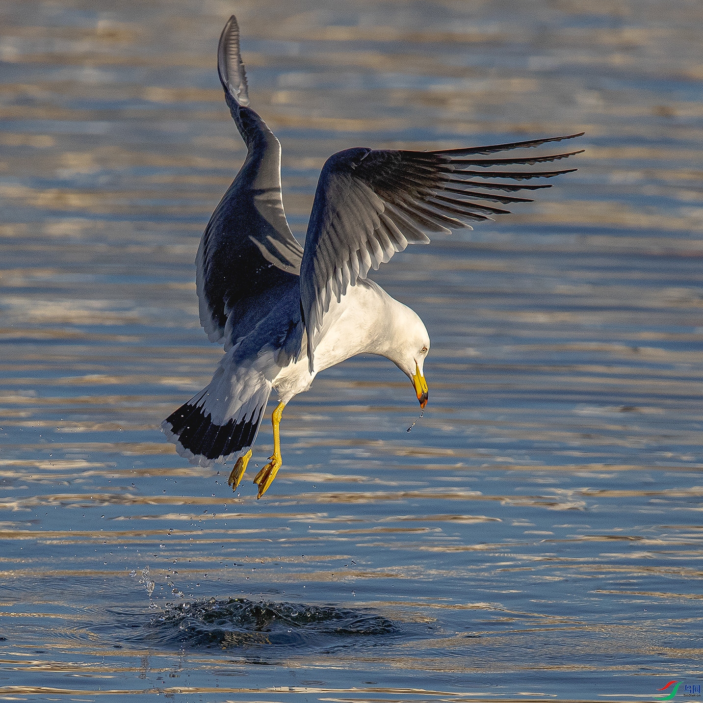 _90I7123 ����.jpg