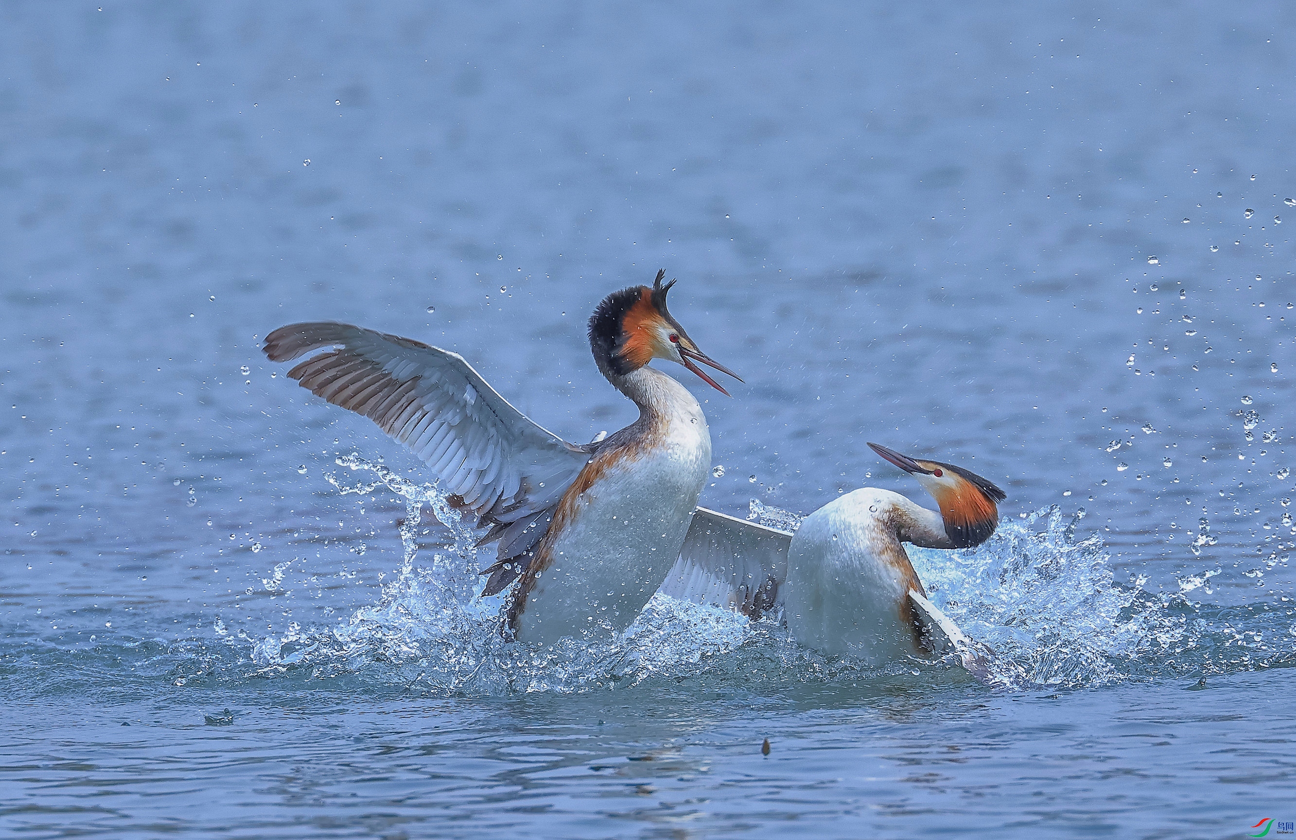 L10A0023 ����_����.jpg