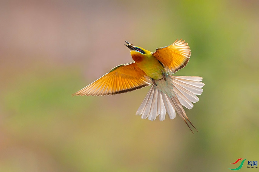 6H7A8083 ����.jpg