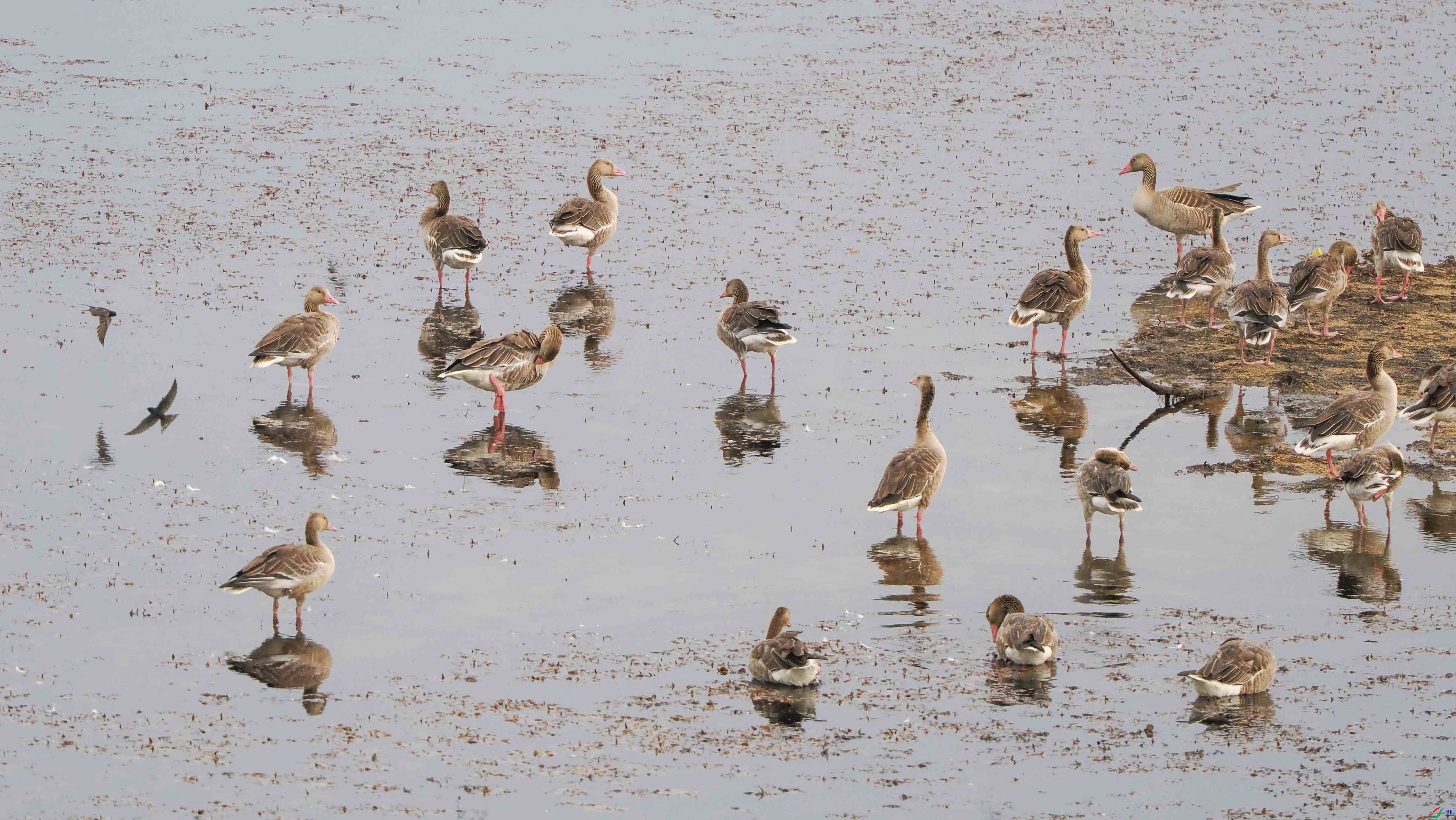 1-xtP7210352 ����.jpg