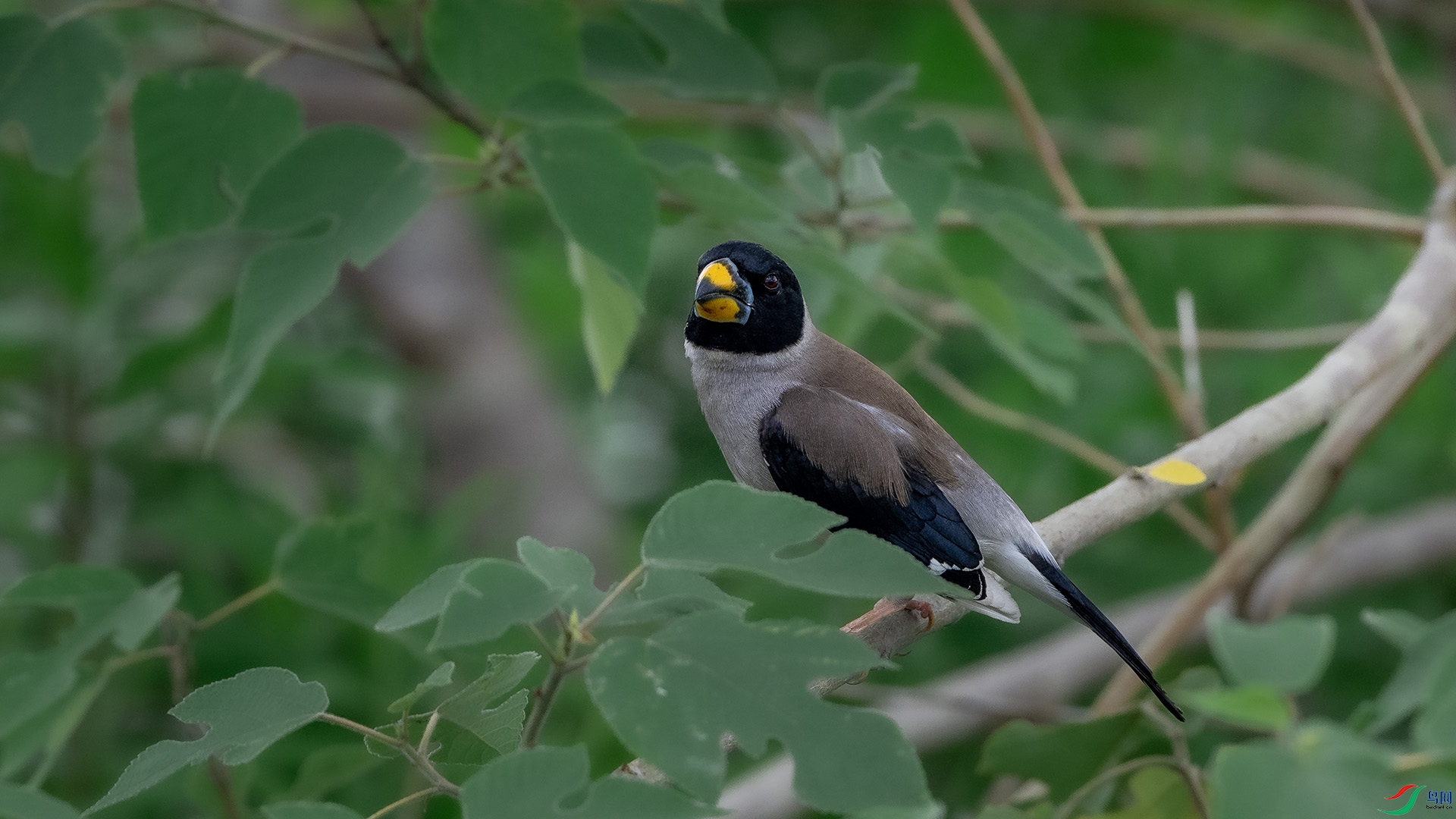 DSC_8094 ����.jpg