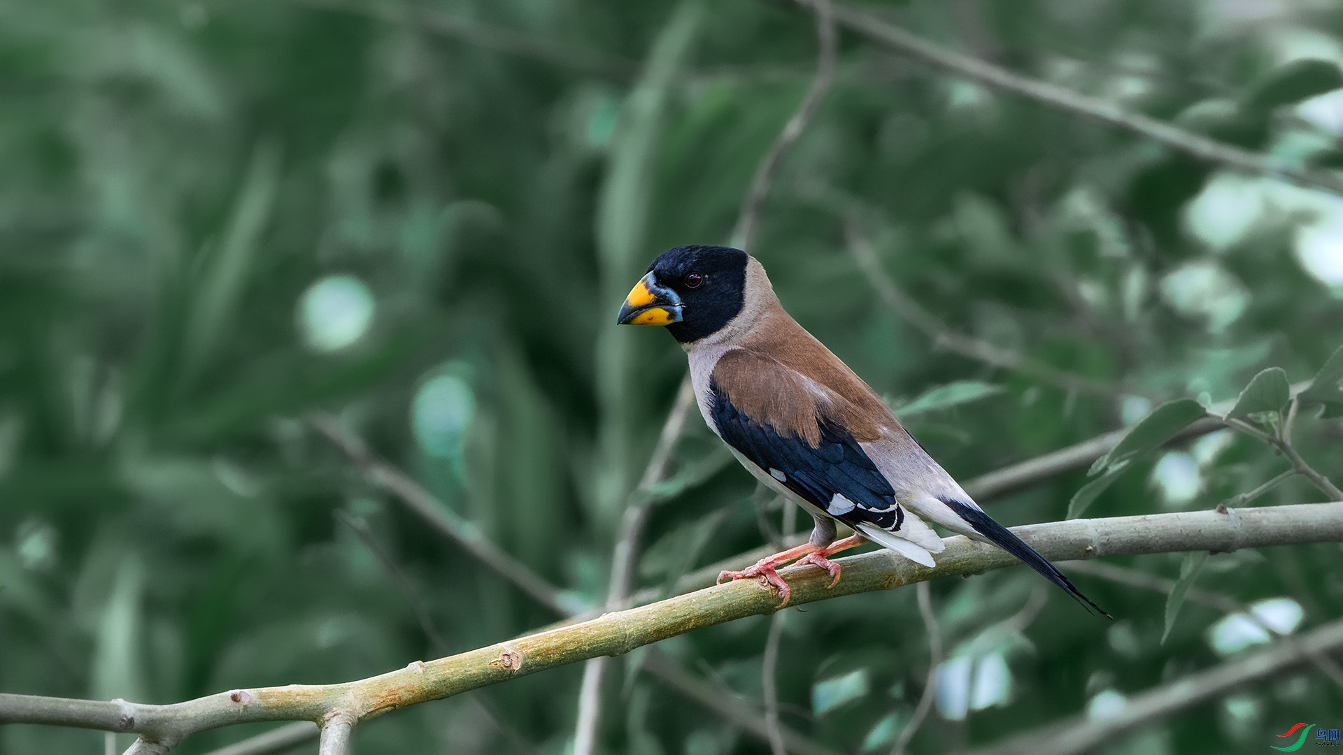 DSC_8108 ����.jpg