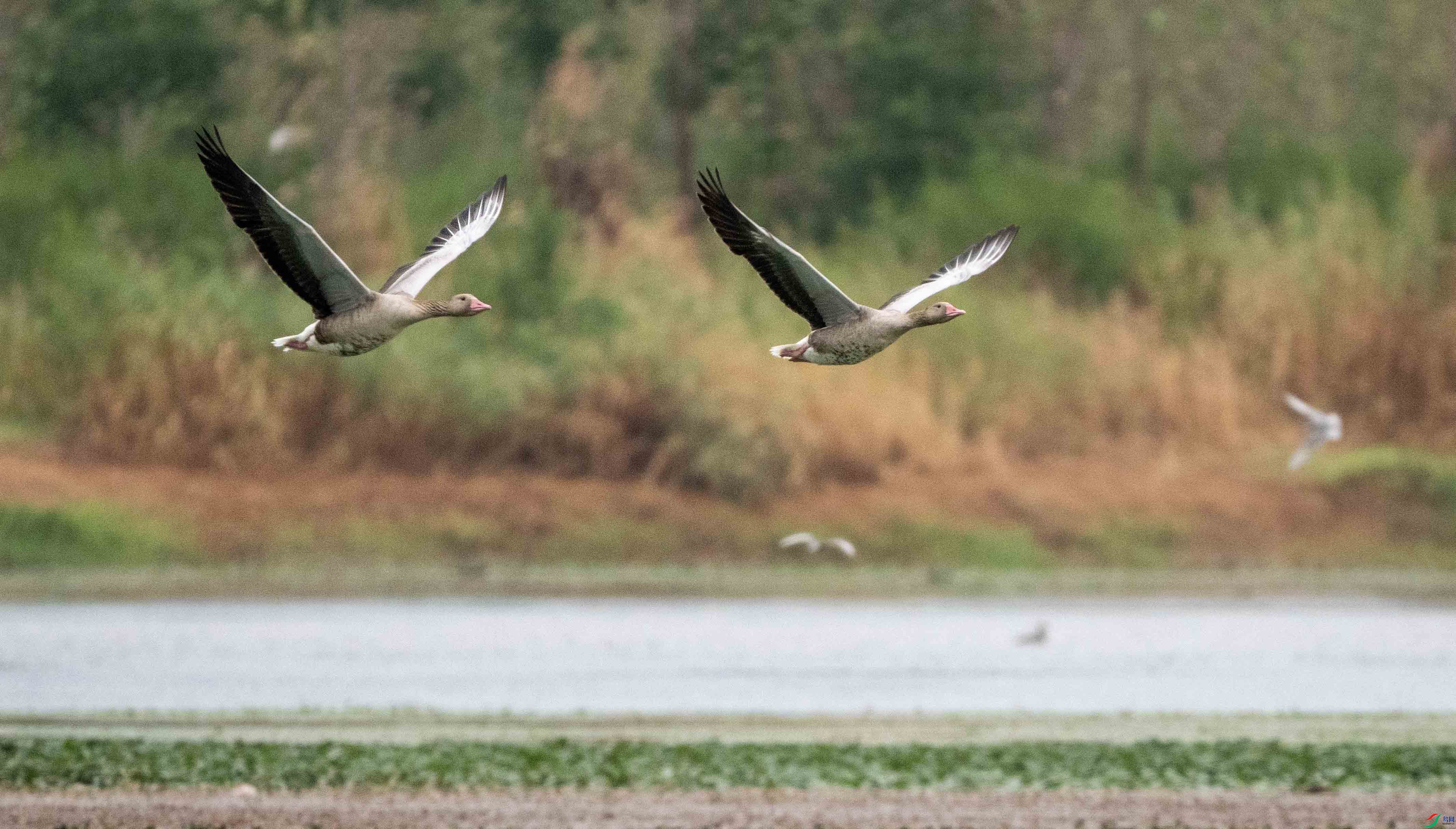 1-xtP7210210 ���� 2.jpg