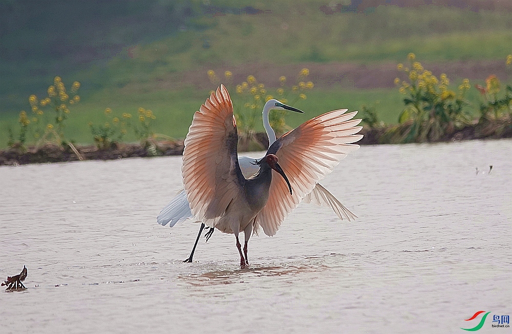 DSC07379 - ����_����.jpg