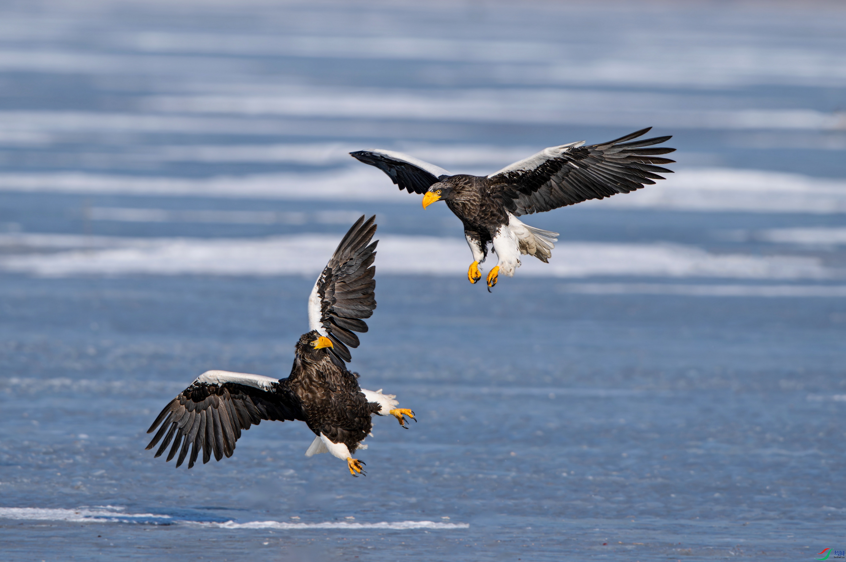 DSC_3632.jpg