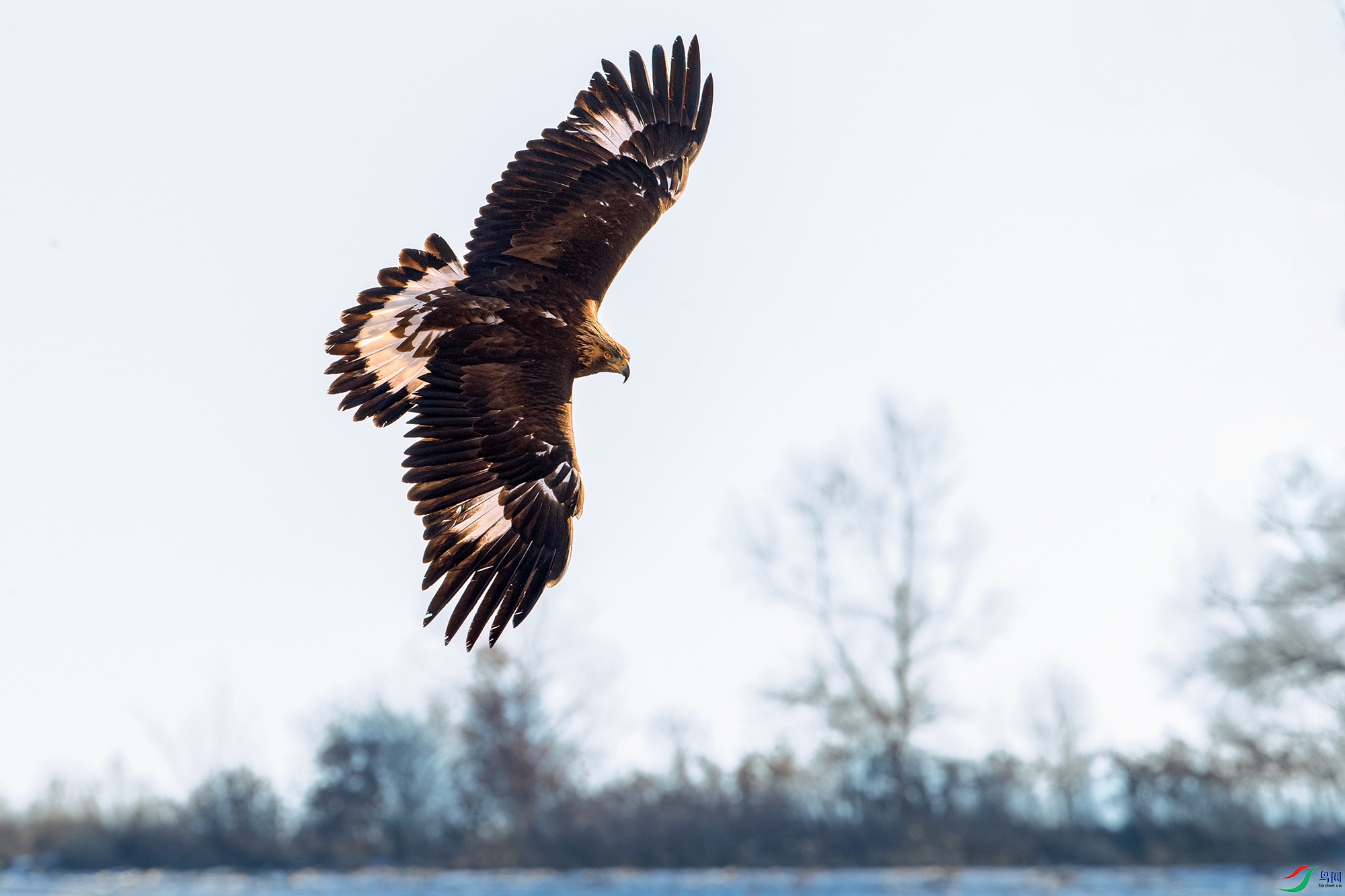 ���----�ʲ�ã���˭������