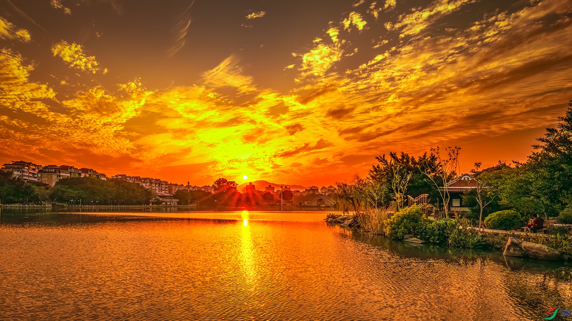 20250729����� ����.jpg