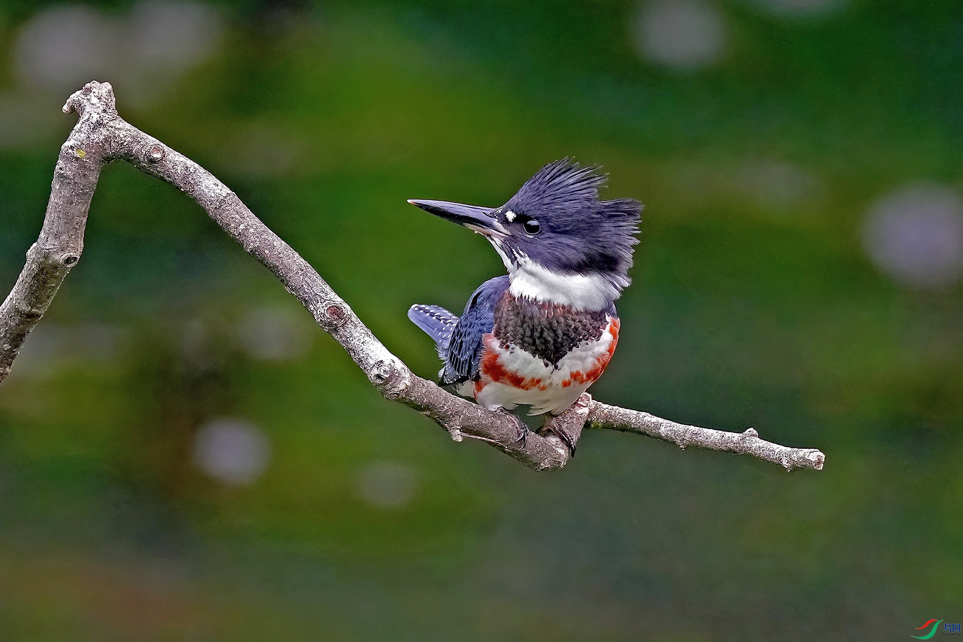 �����һ�����Ҽҡ�