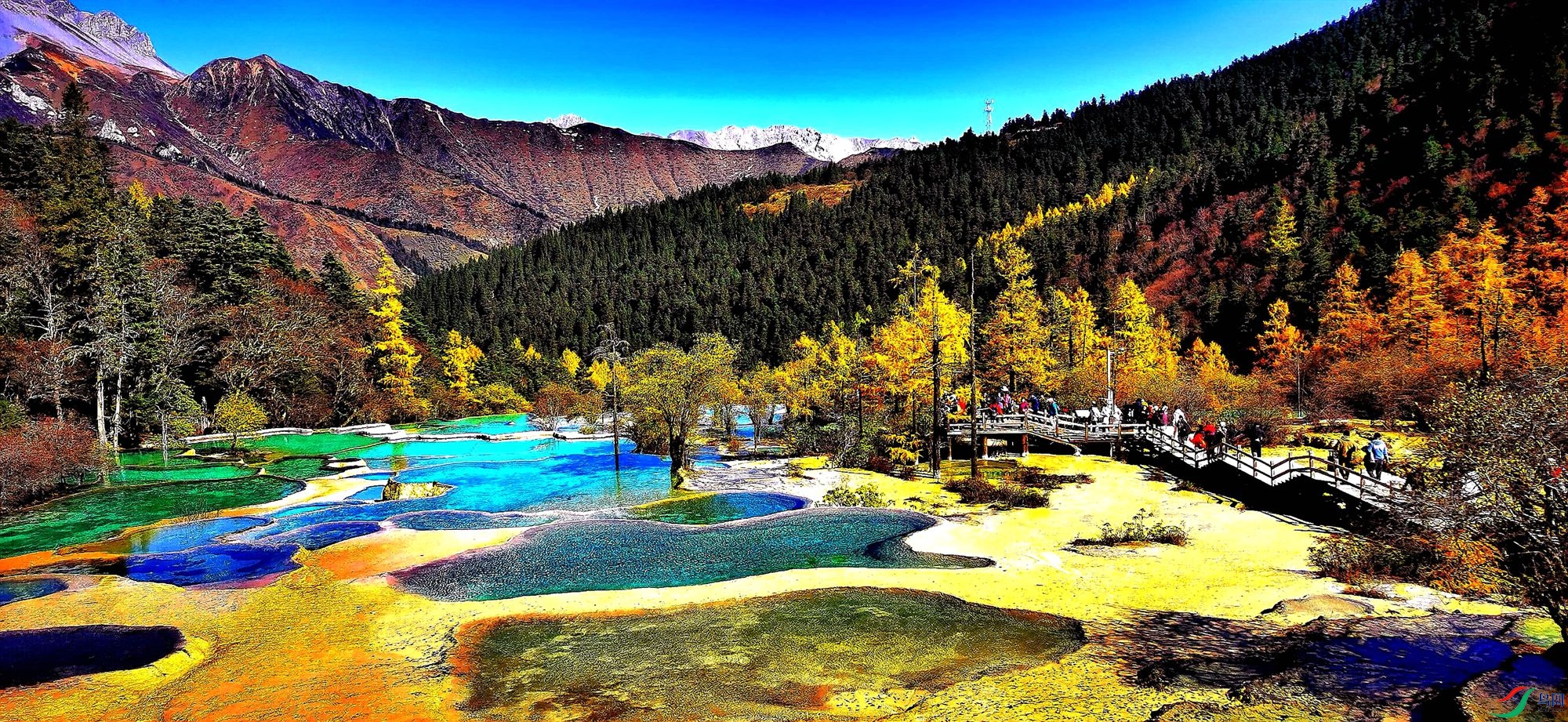 ������ɫ