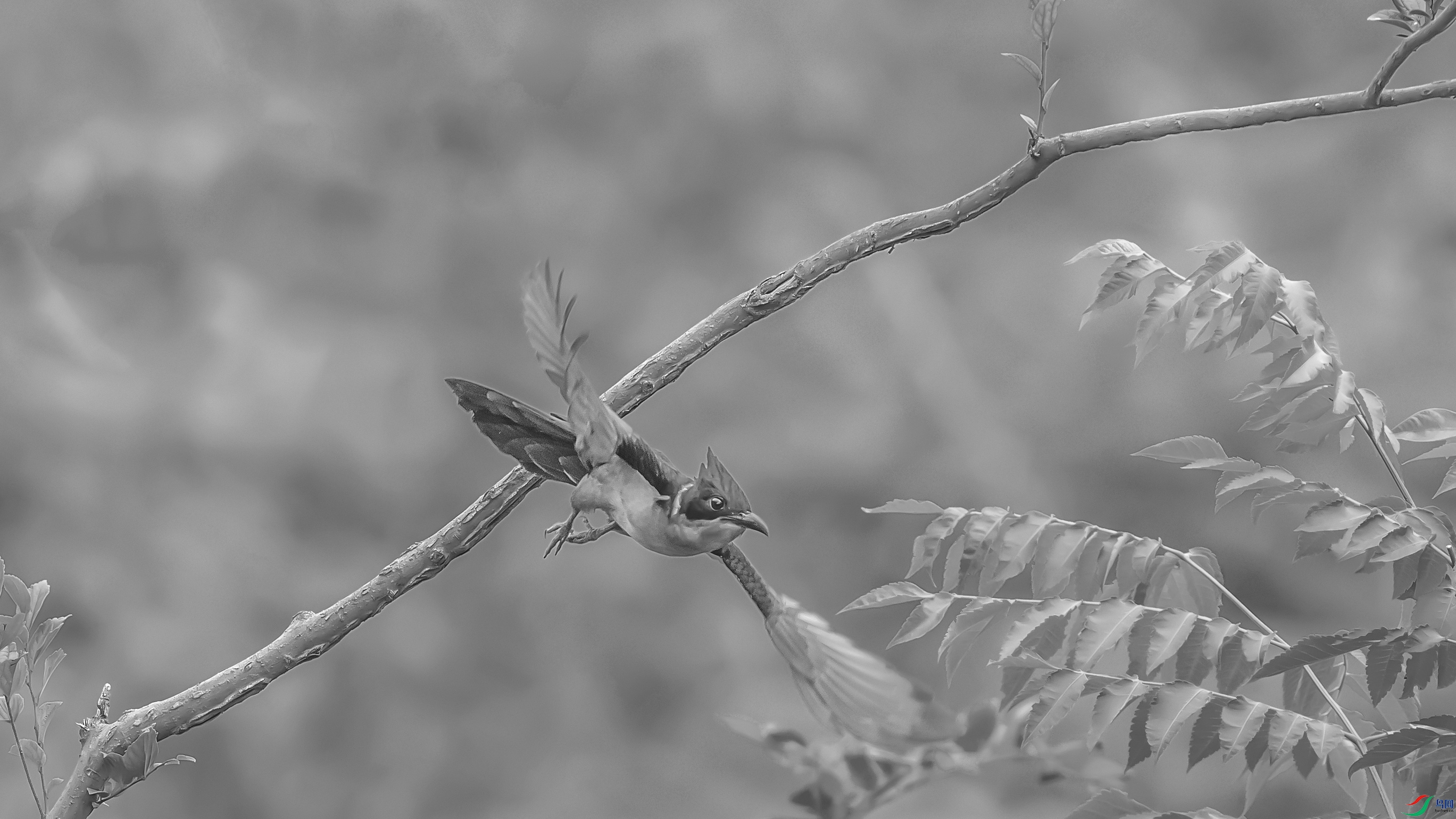 C09R0292A ����.jpg