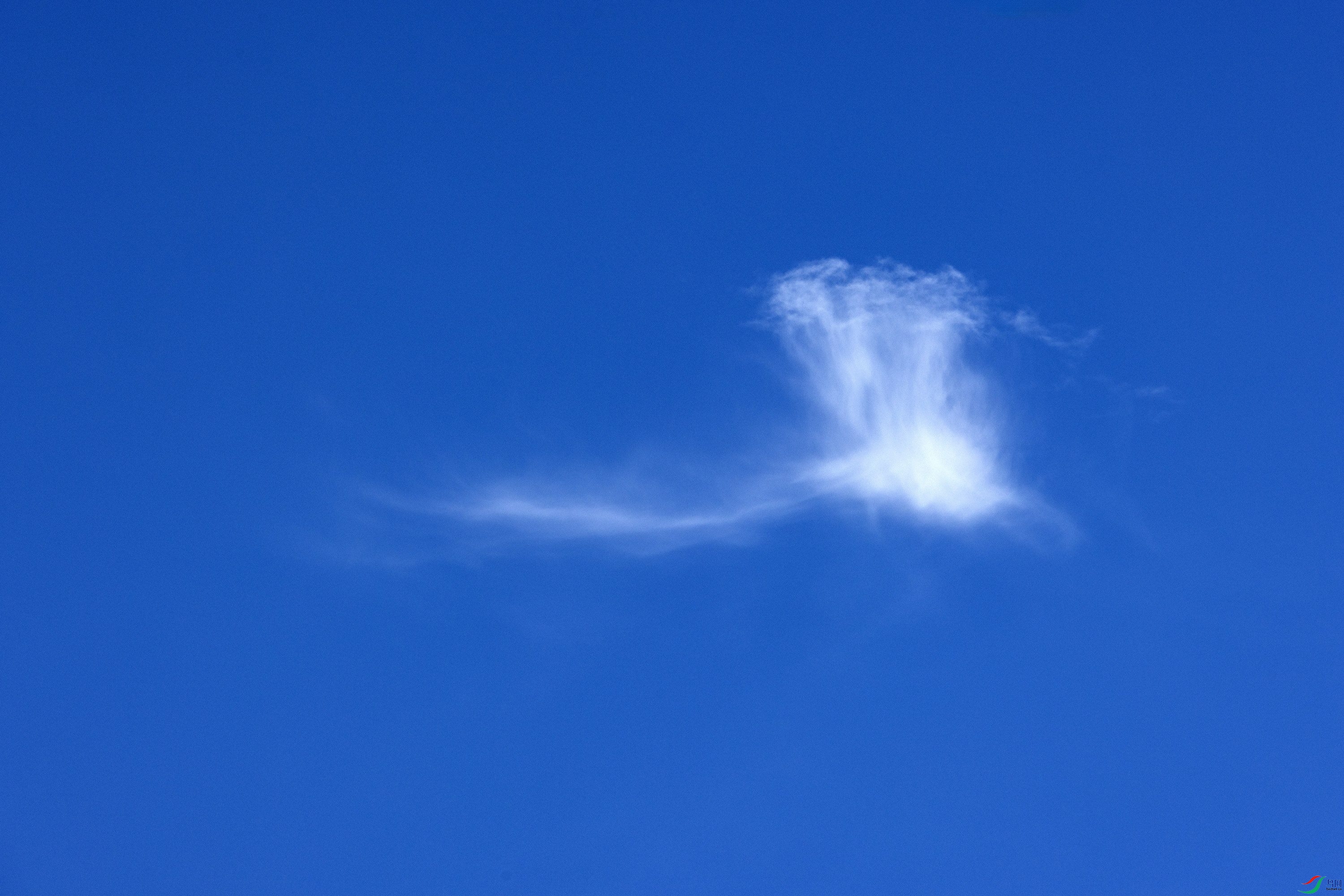 ������ֻ������