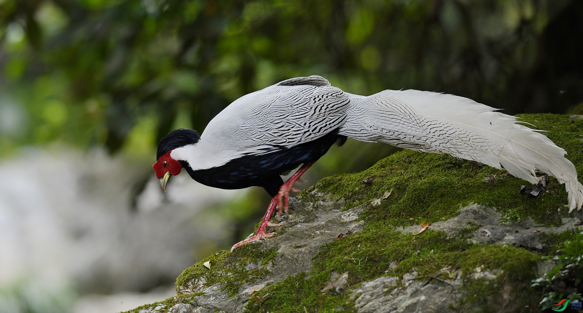 DSC_8264.jpg