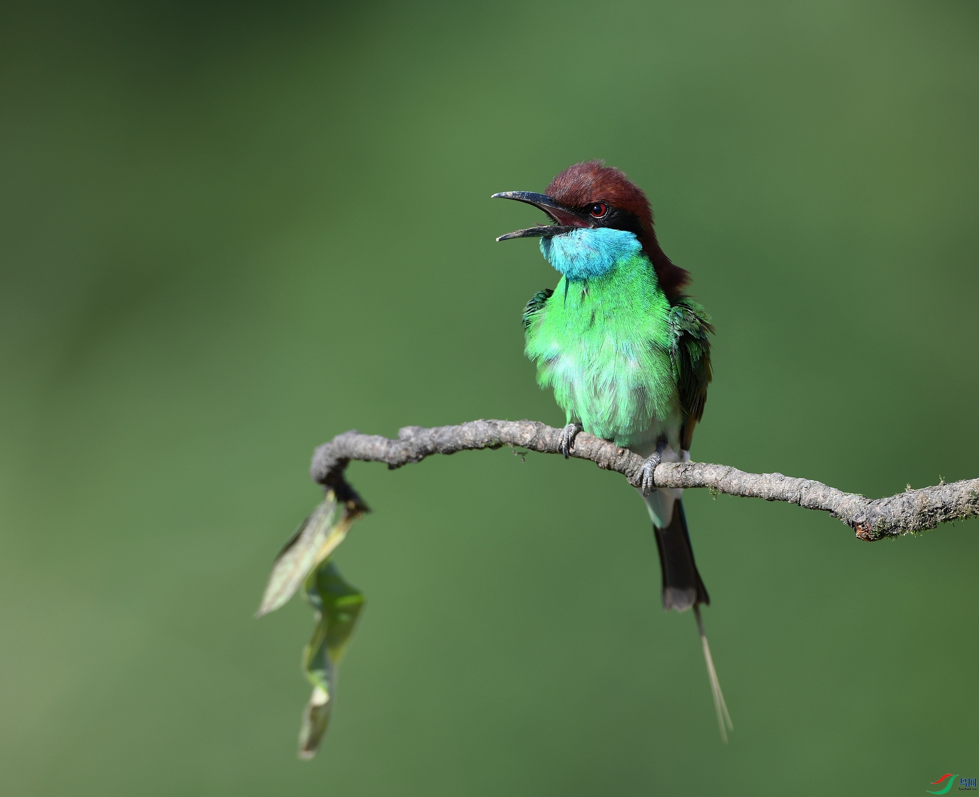 DSC_5824.jpg
