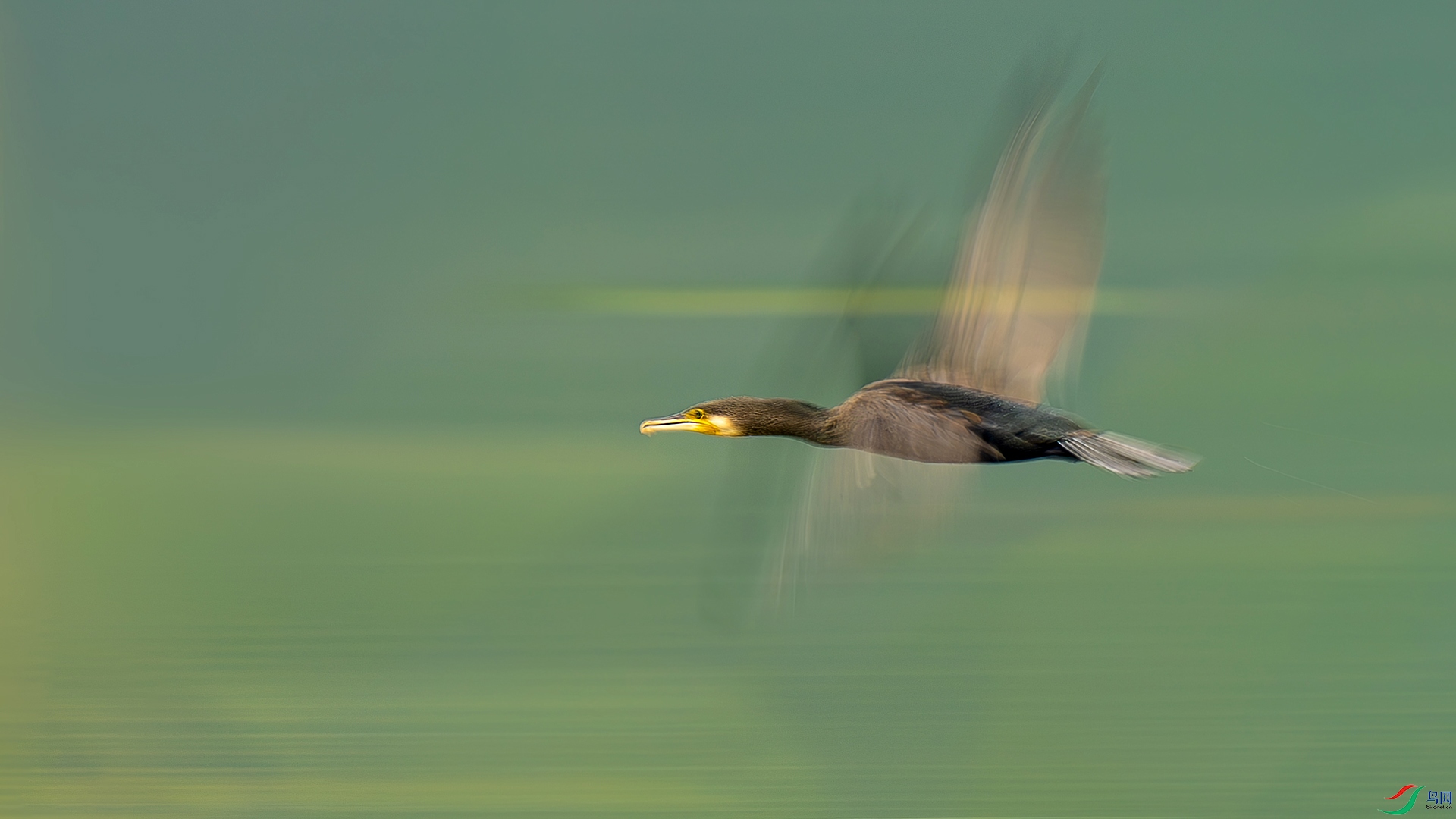 1-006�ɹ�.jpg