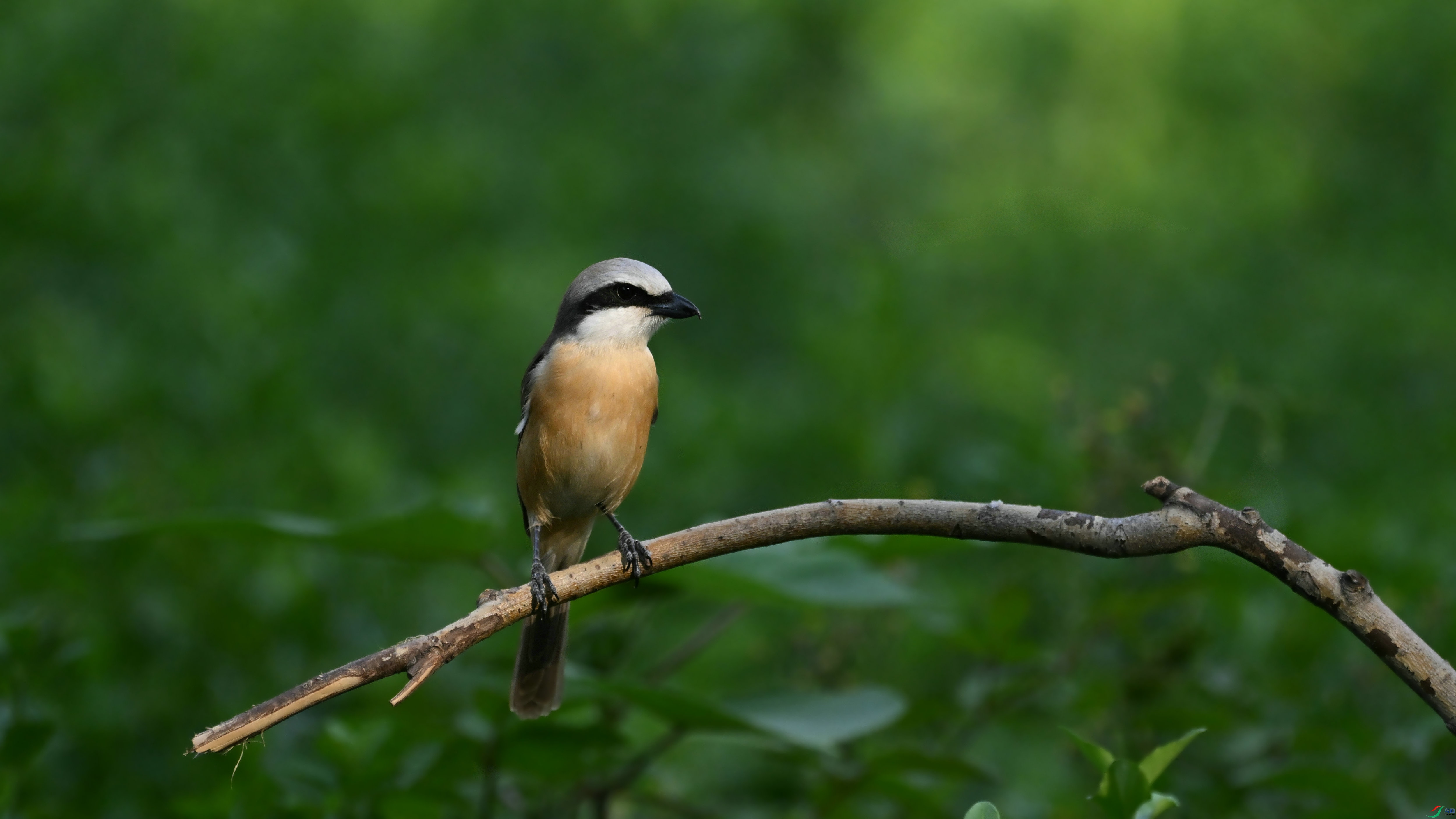 DSC_2015.JPG