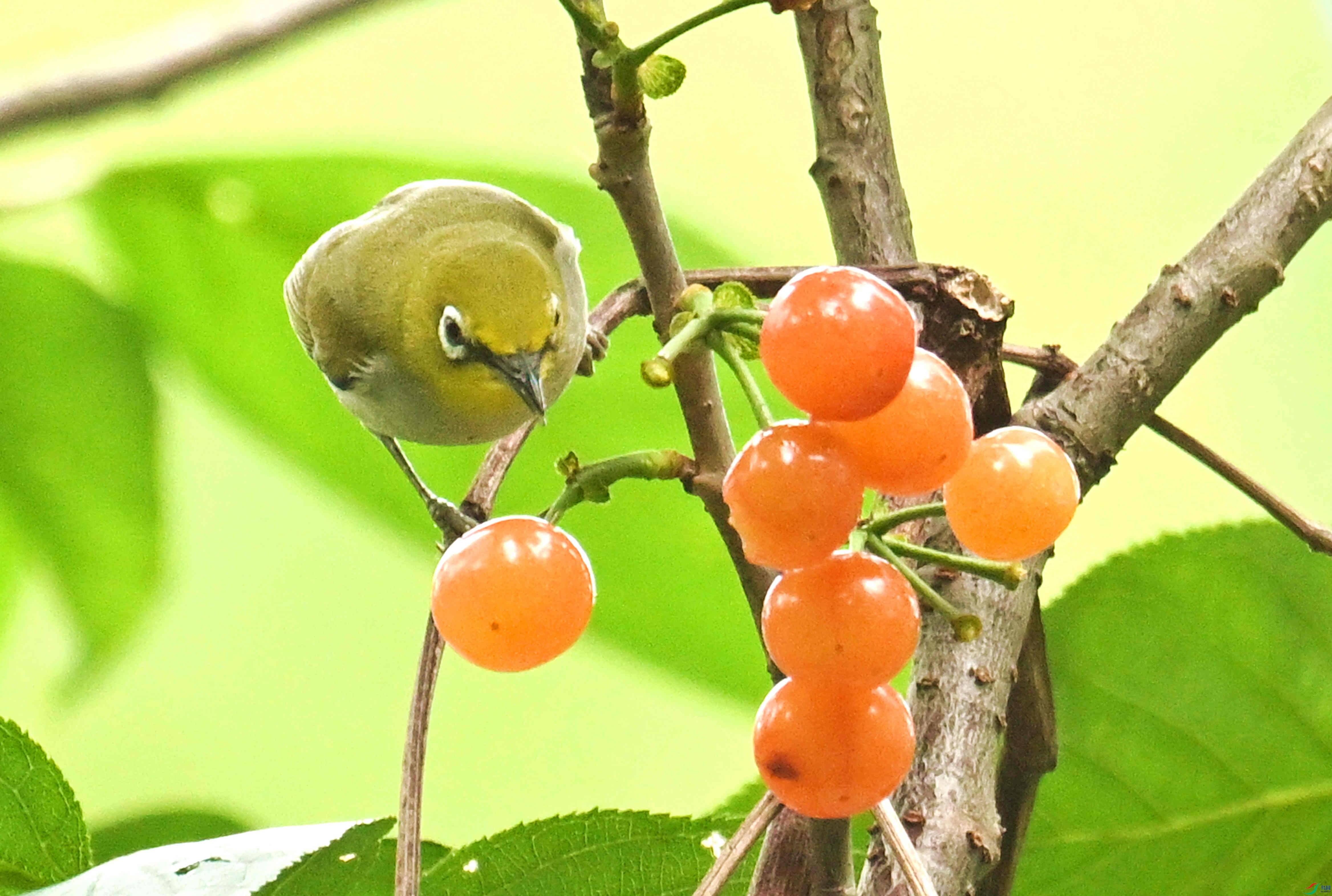 DSC_0216.JPG