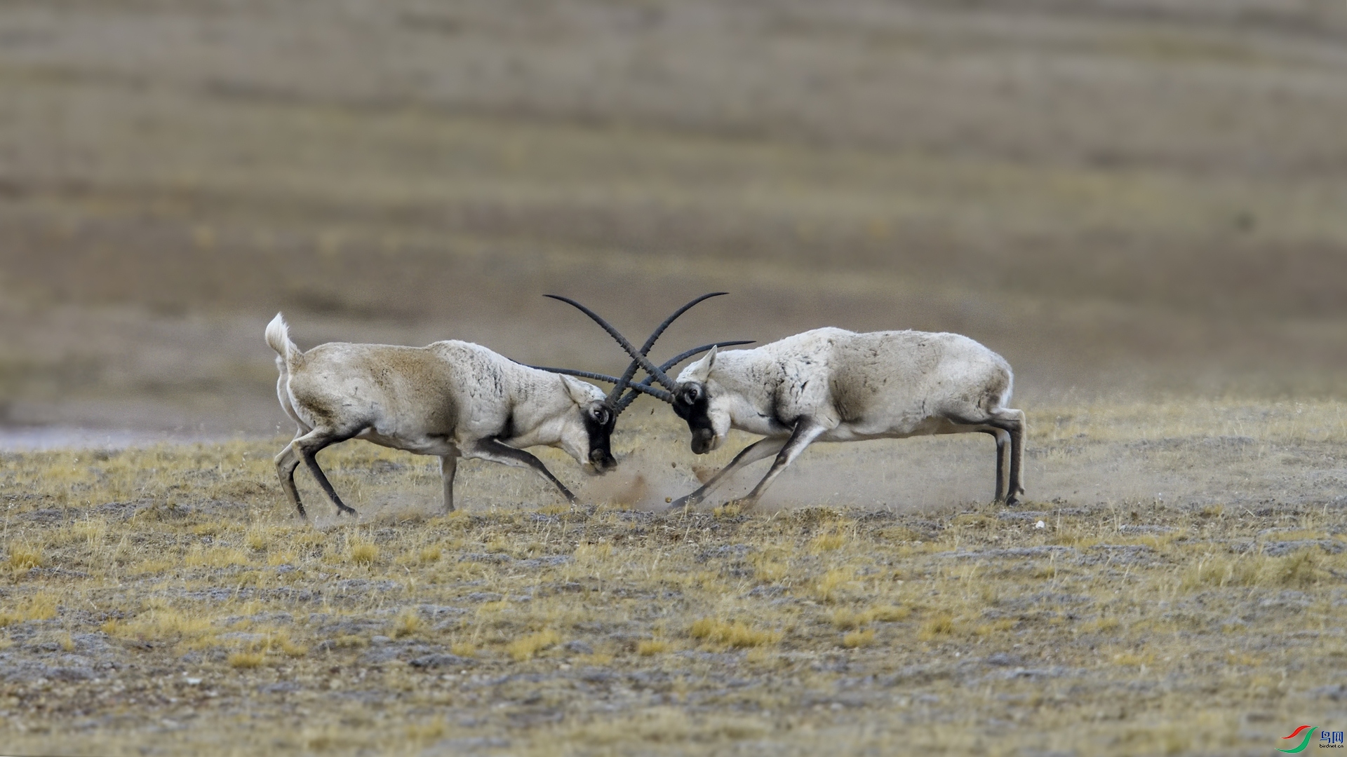 _DSC1203 ����_����.jpg