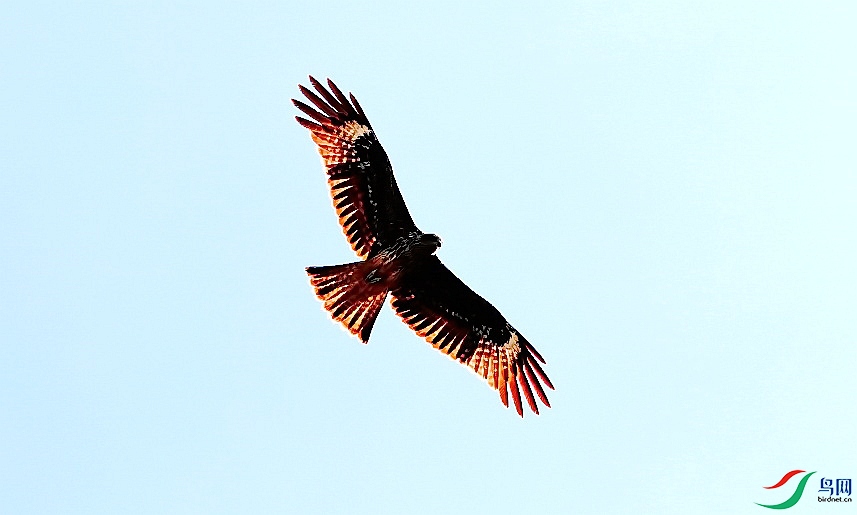 BK2A8377.JPG