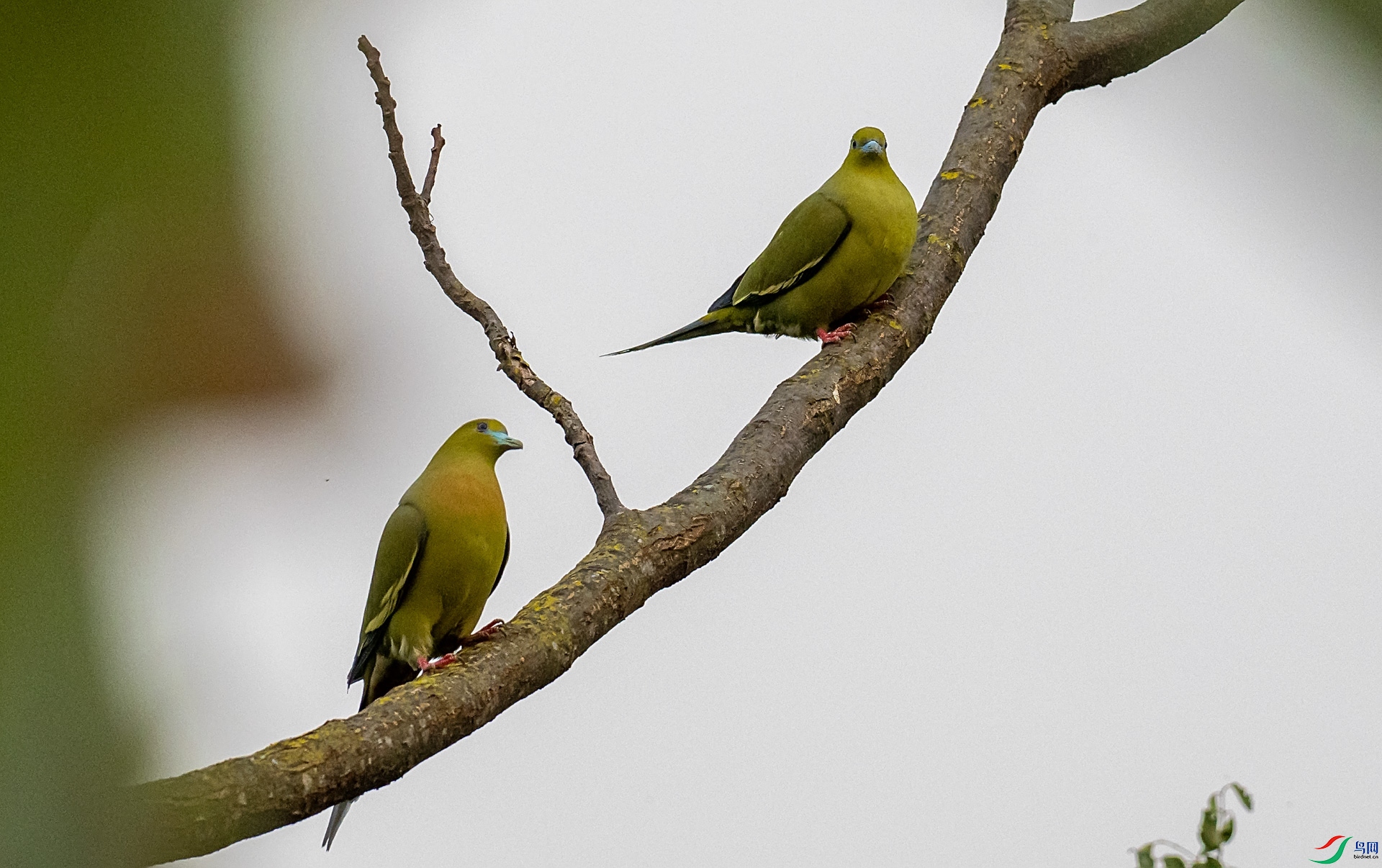 P3125115 ��β���_1.jpg