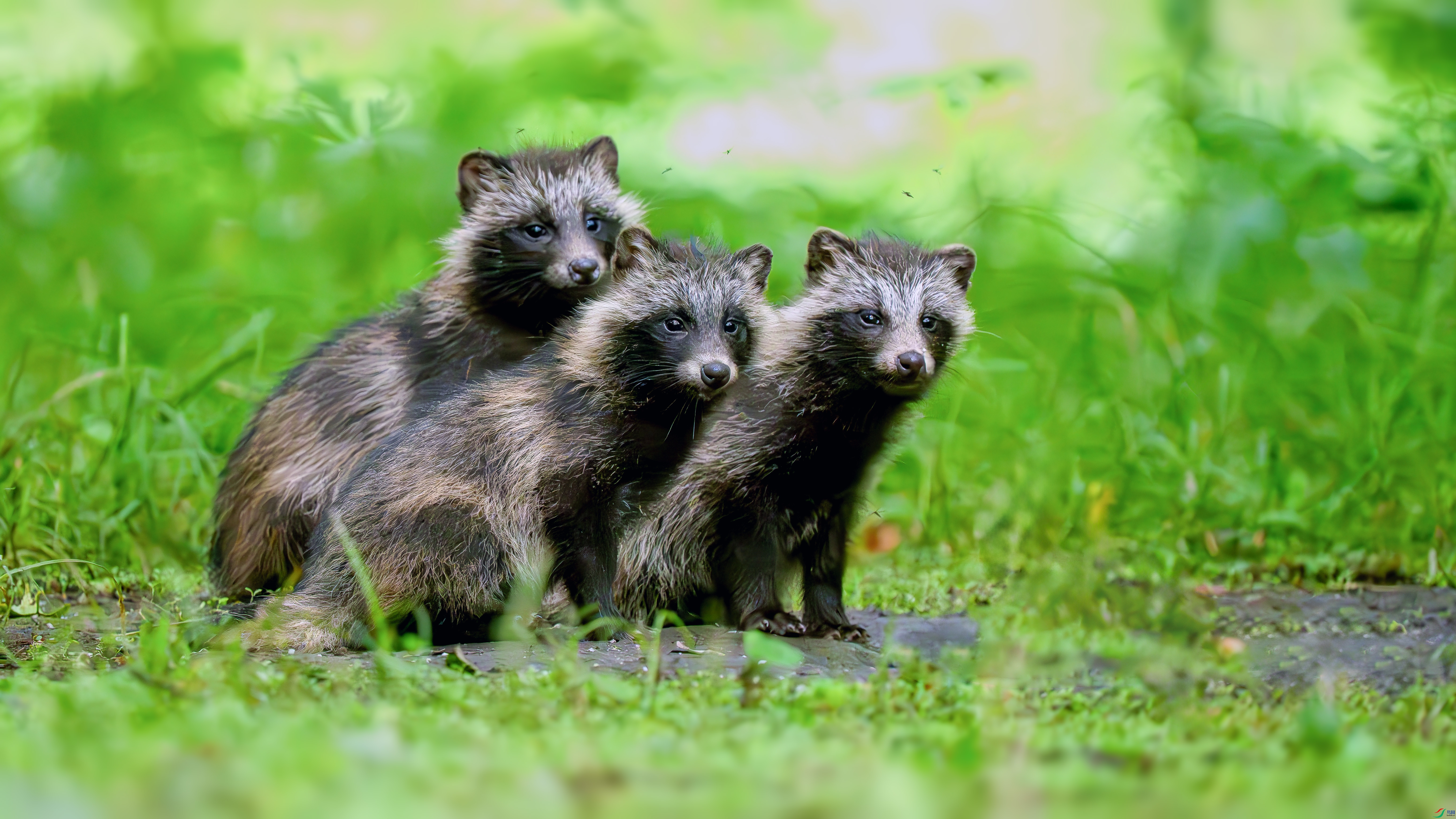 A_DSC1788- ����.jpg