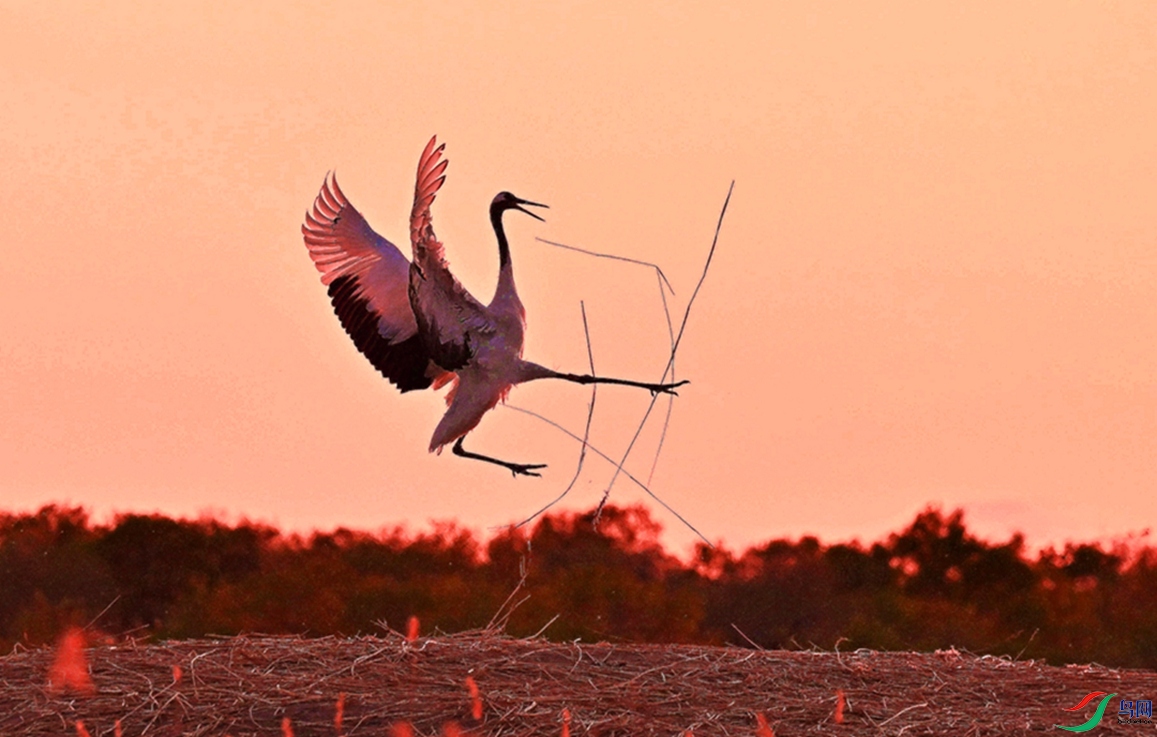 ������档