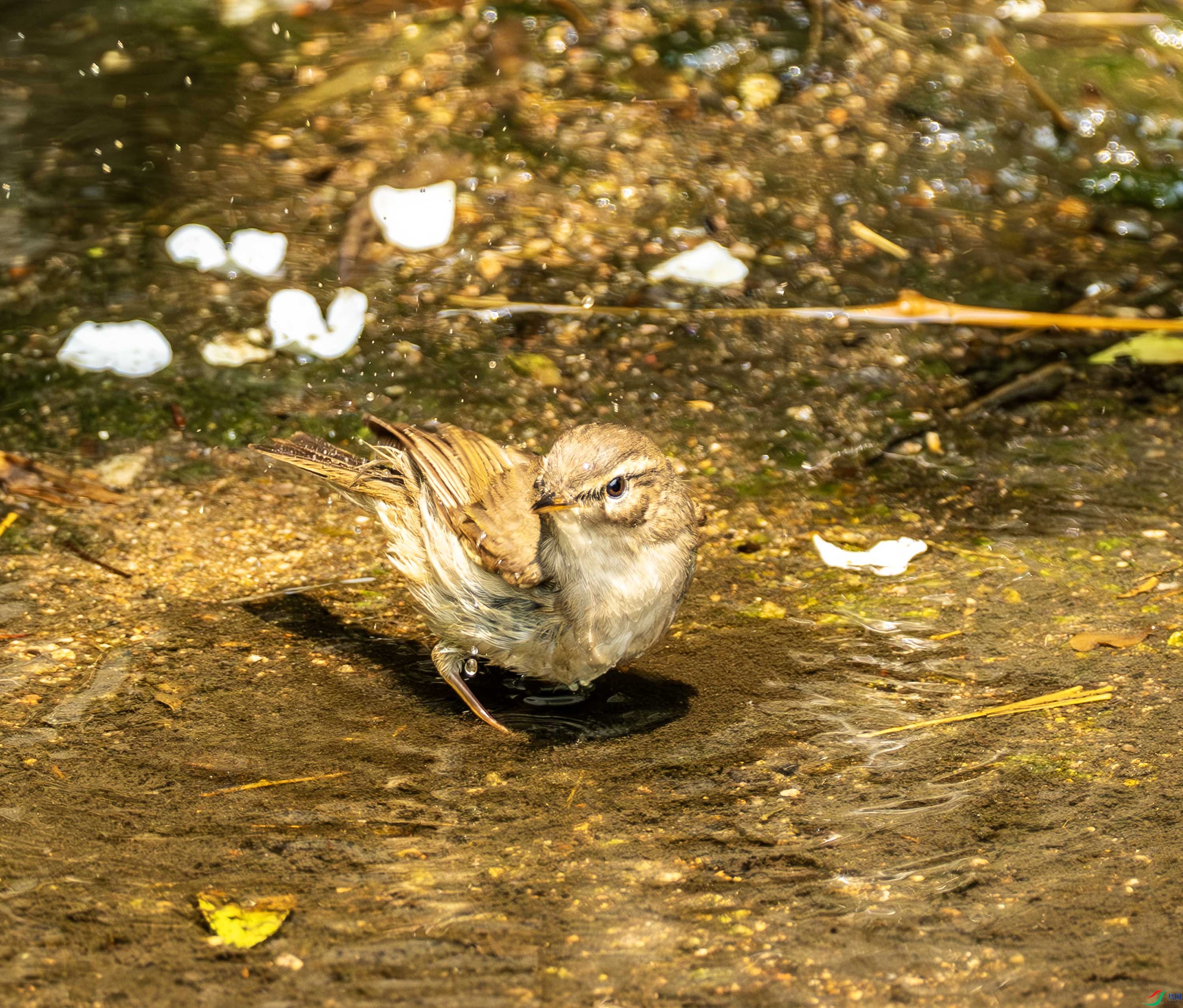 ����ݺ-2-2.jpg