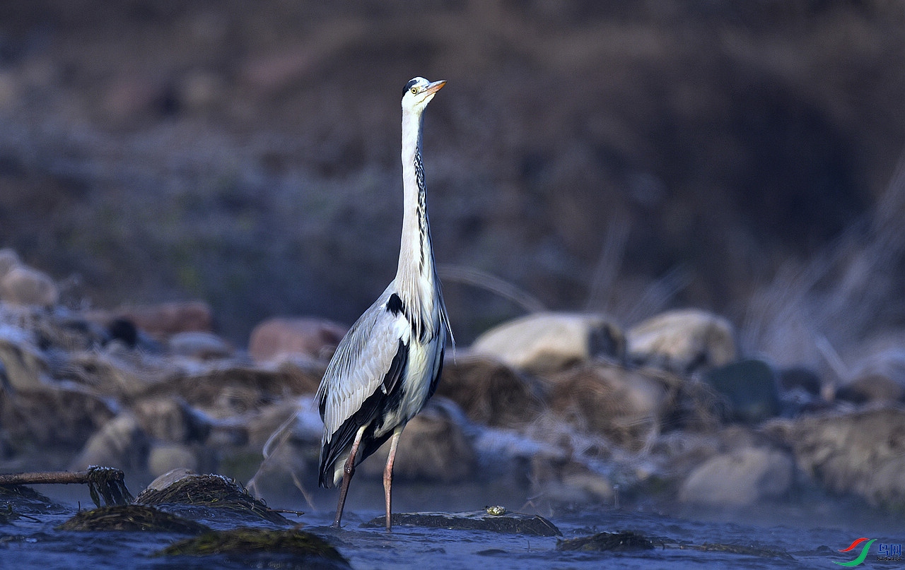 DSC_9397.jpg