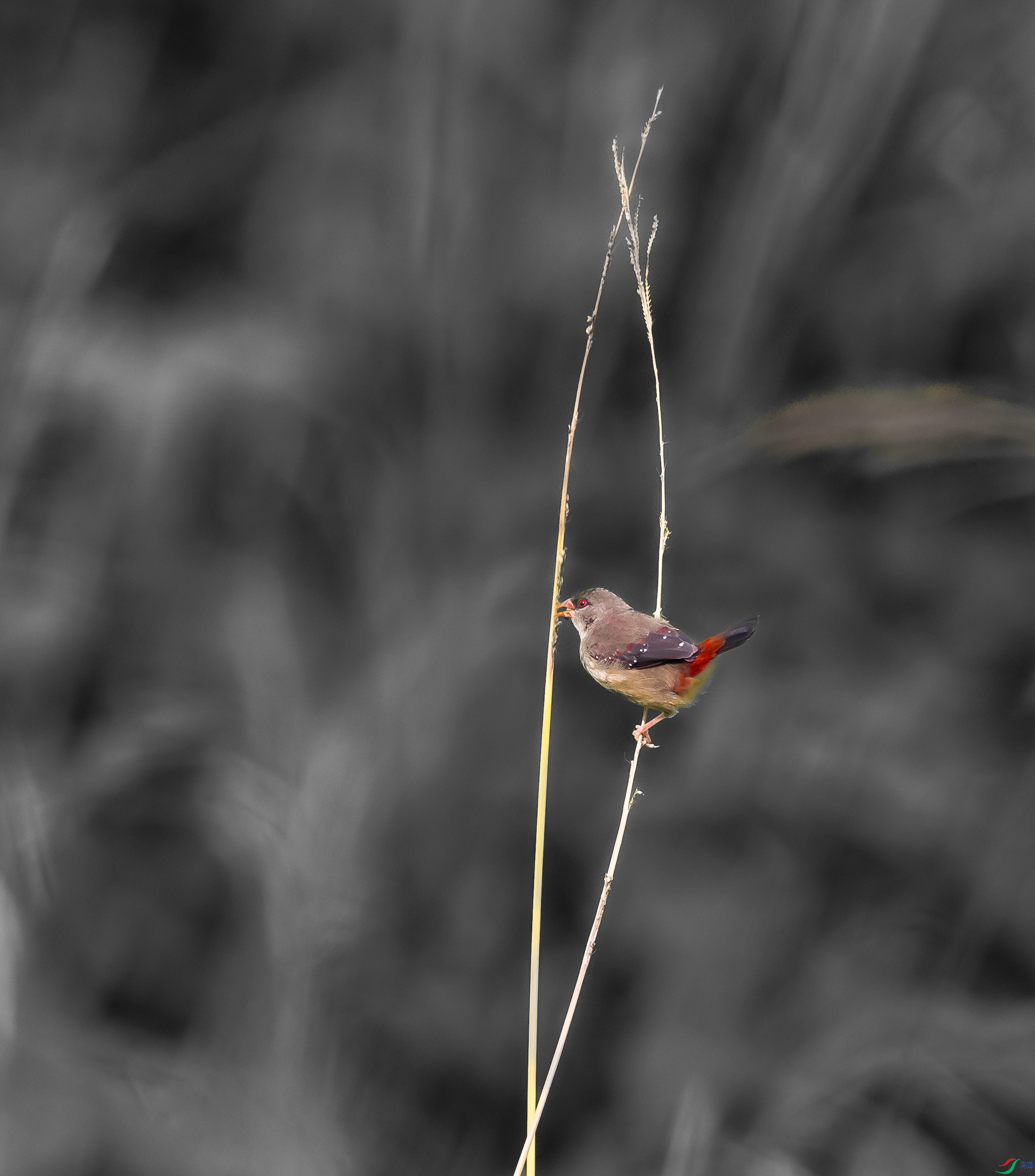0I3A8160_1.jpg