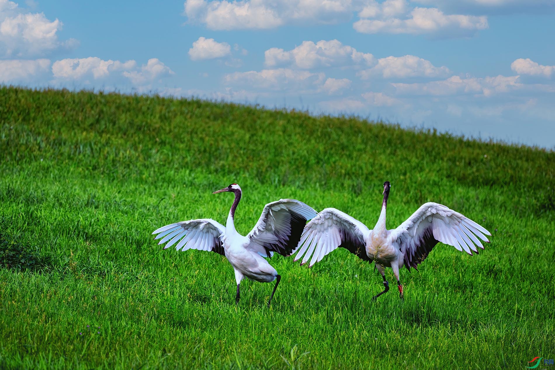 �����ɶ�