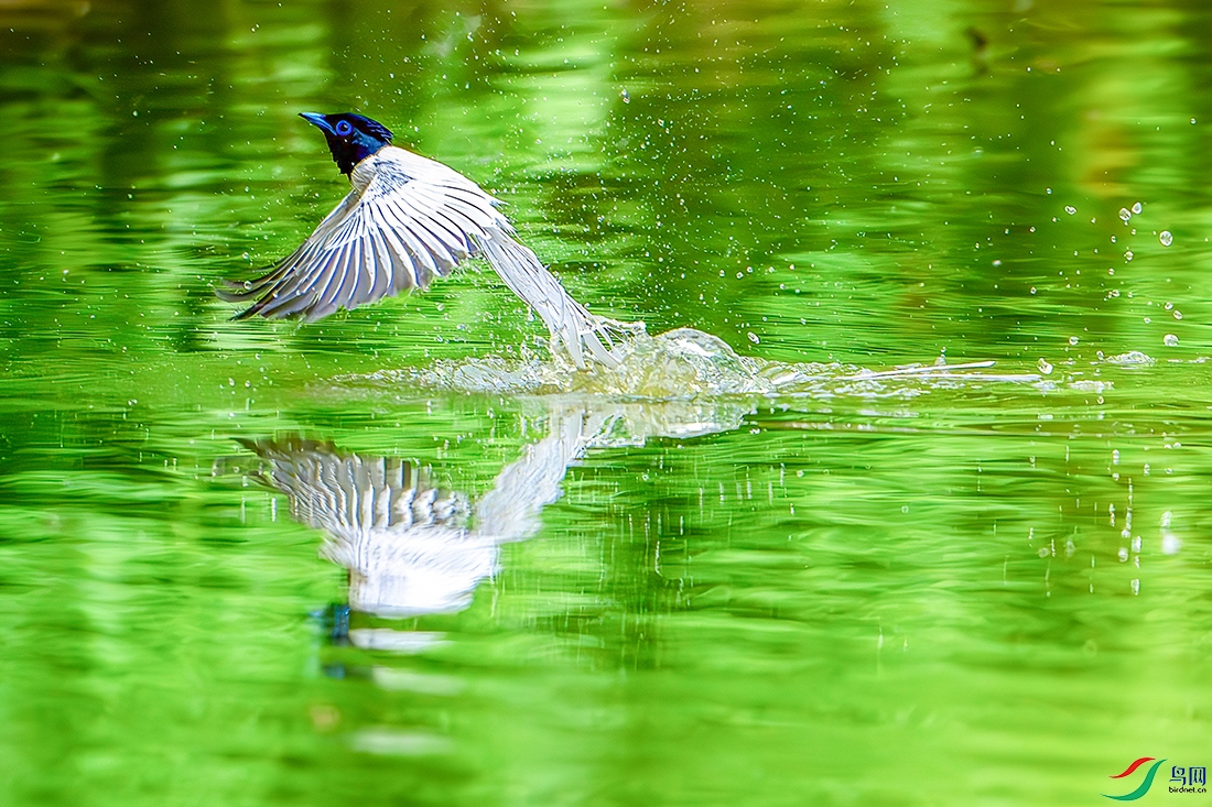 DSC_8287b.jpg