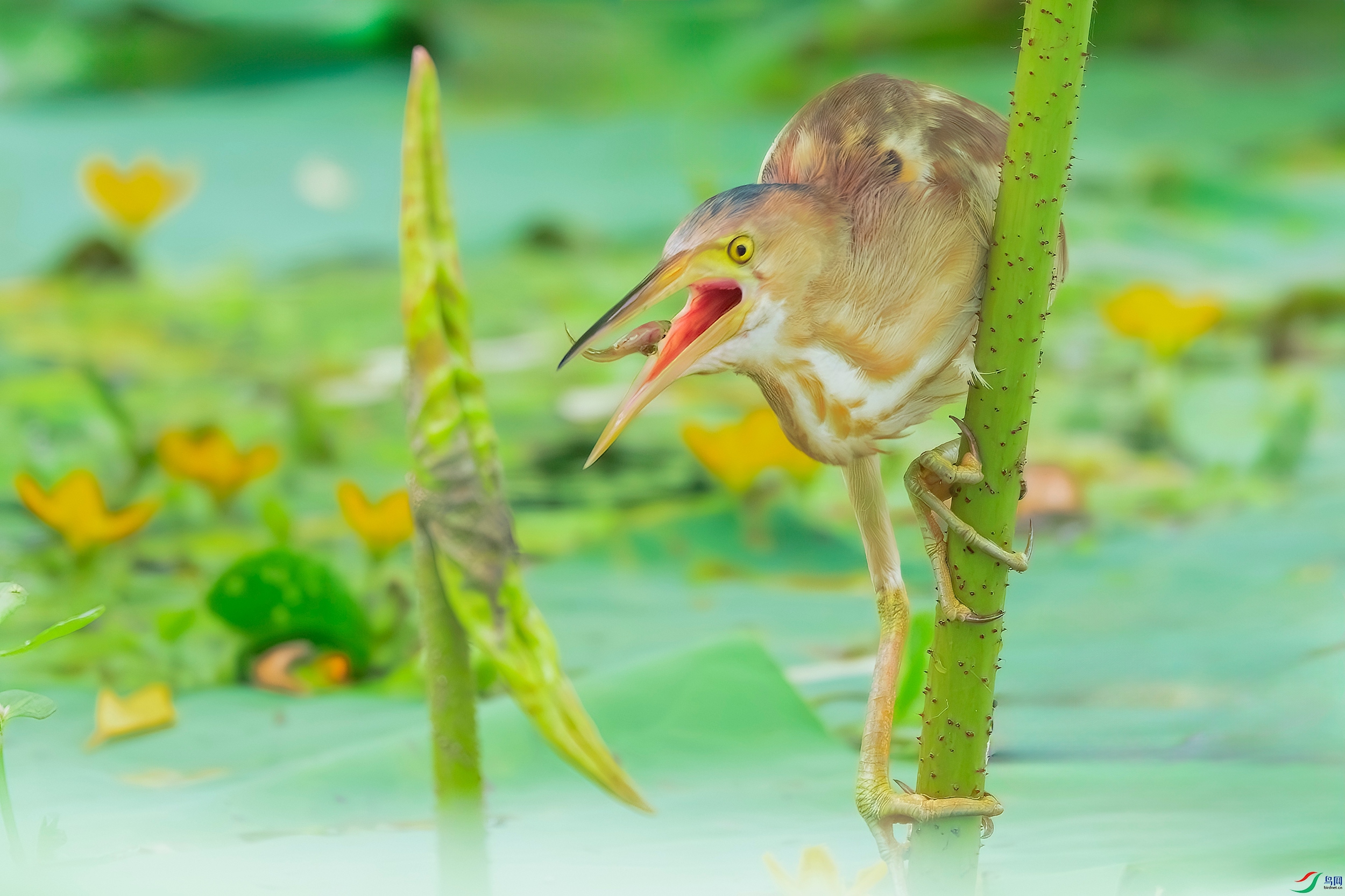 _DSC5818 ����_����.jpg