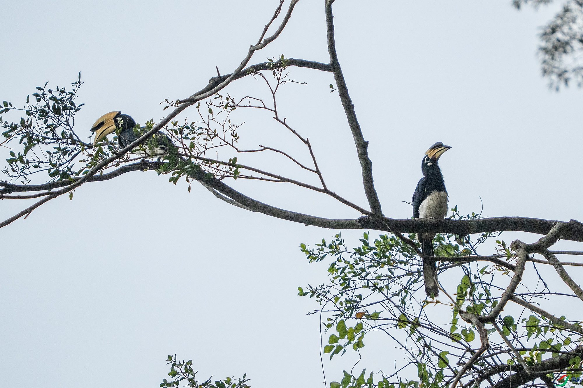 DSC06230 ����.jpg