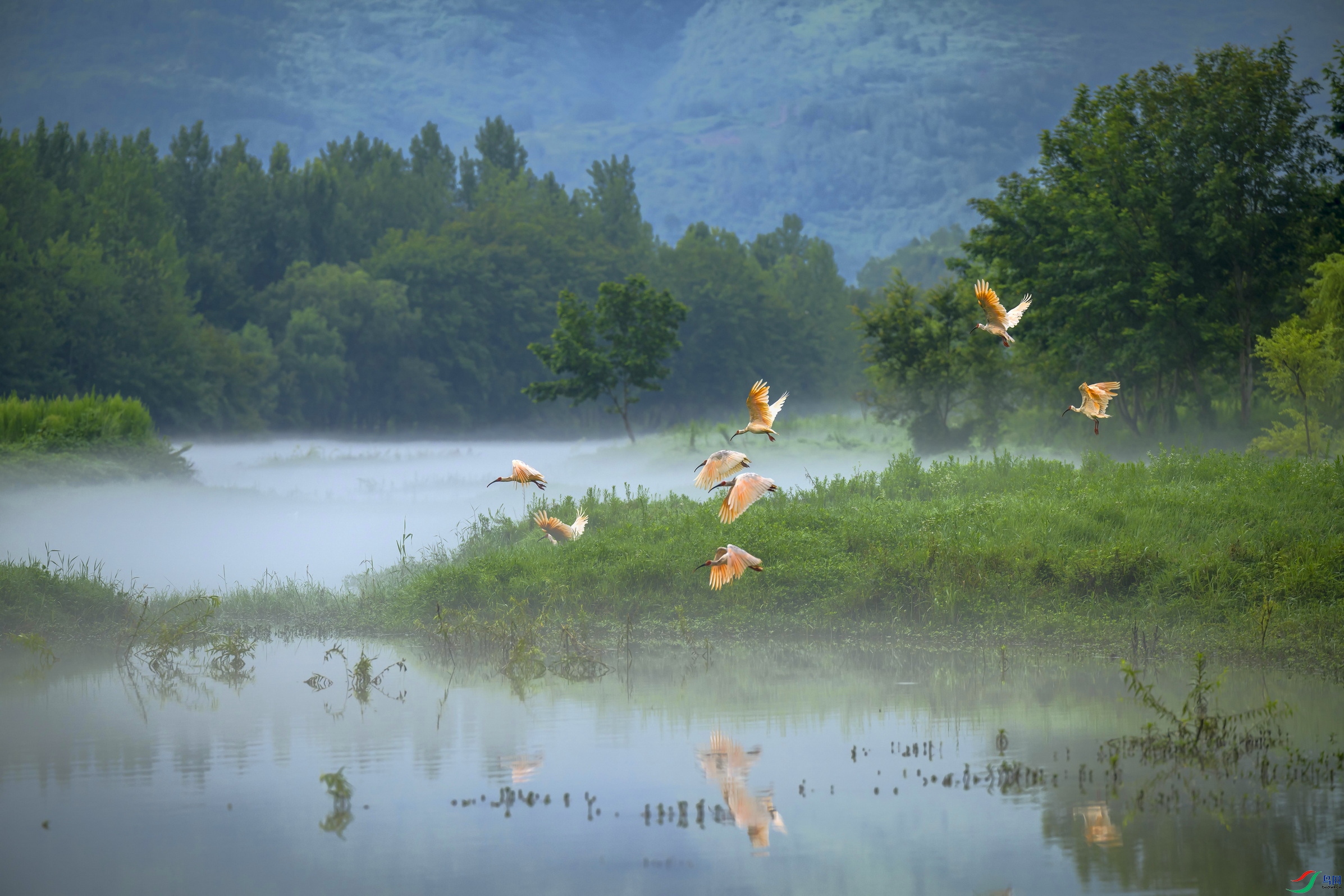 _DSC0734 ���� 2F003.jpg