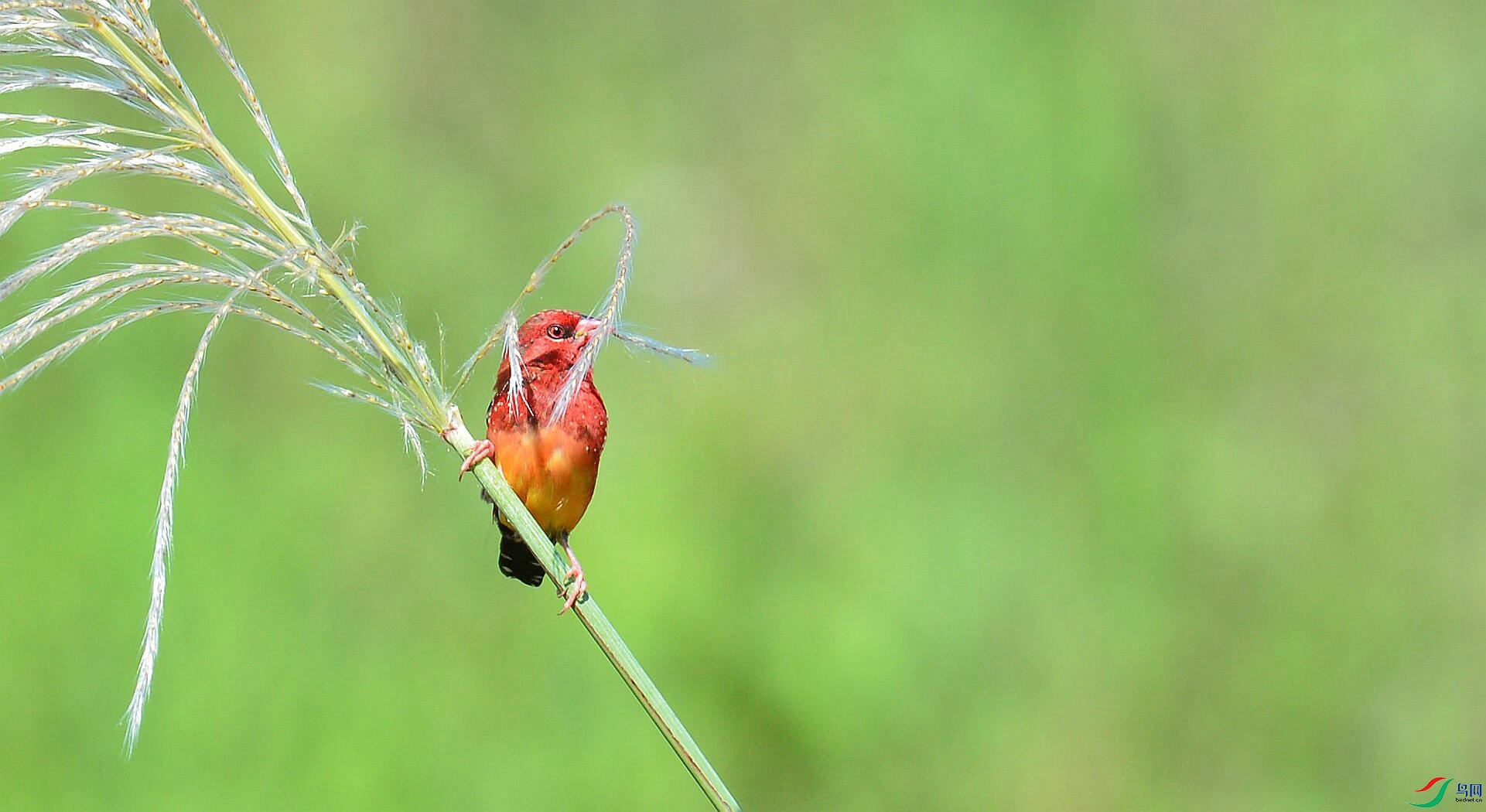 1 1025_����.jpg