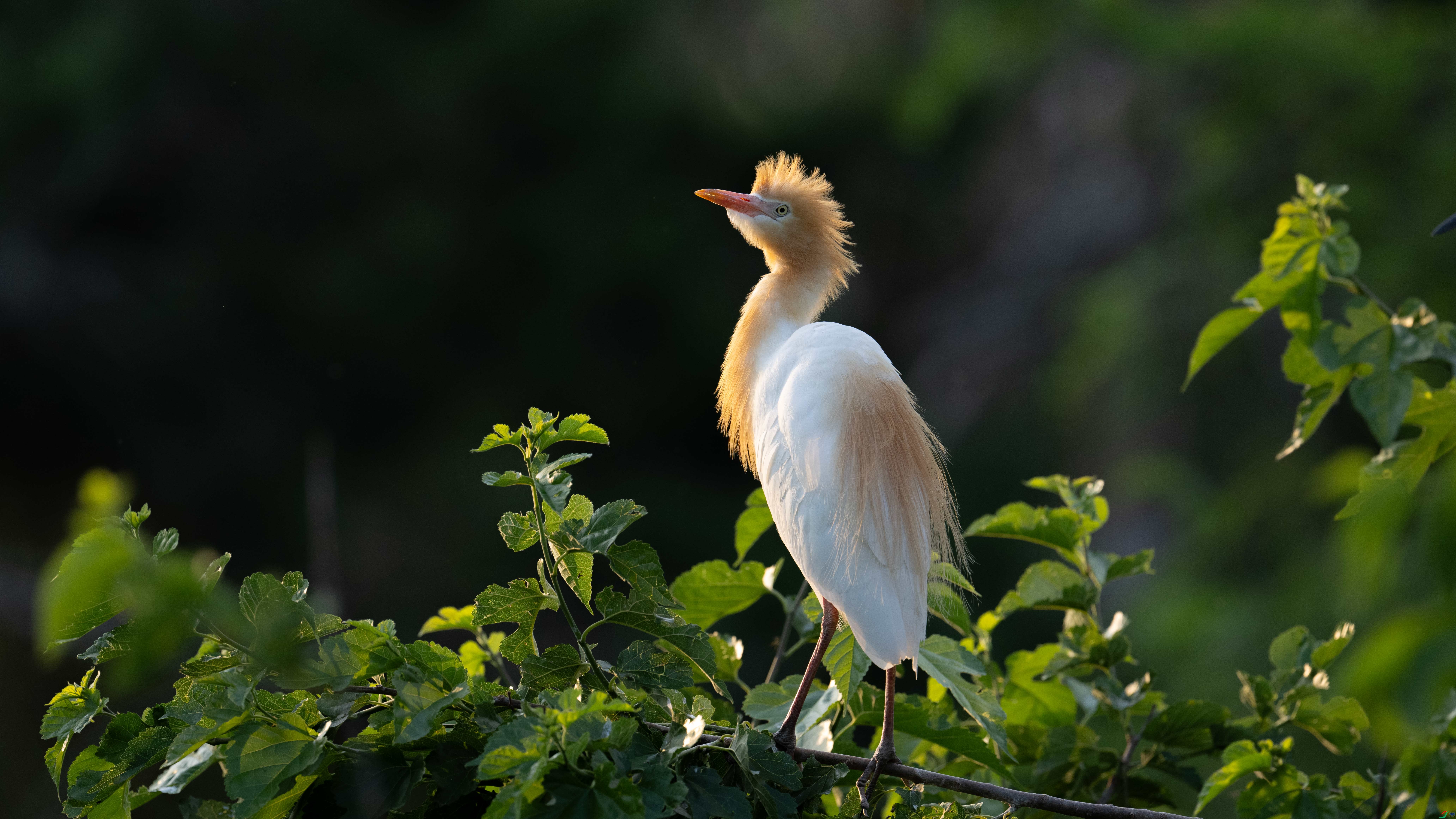 DSC_0053.jpg