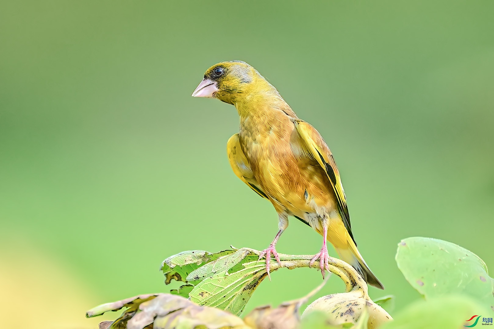 DSC_1721.jpg