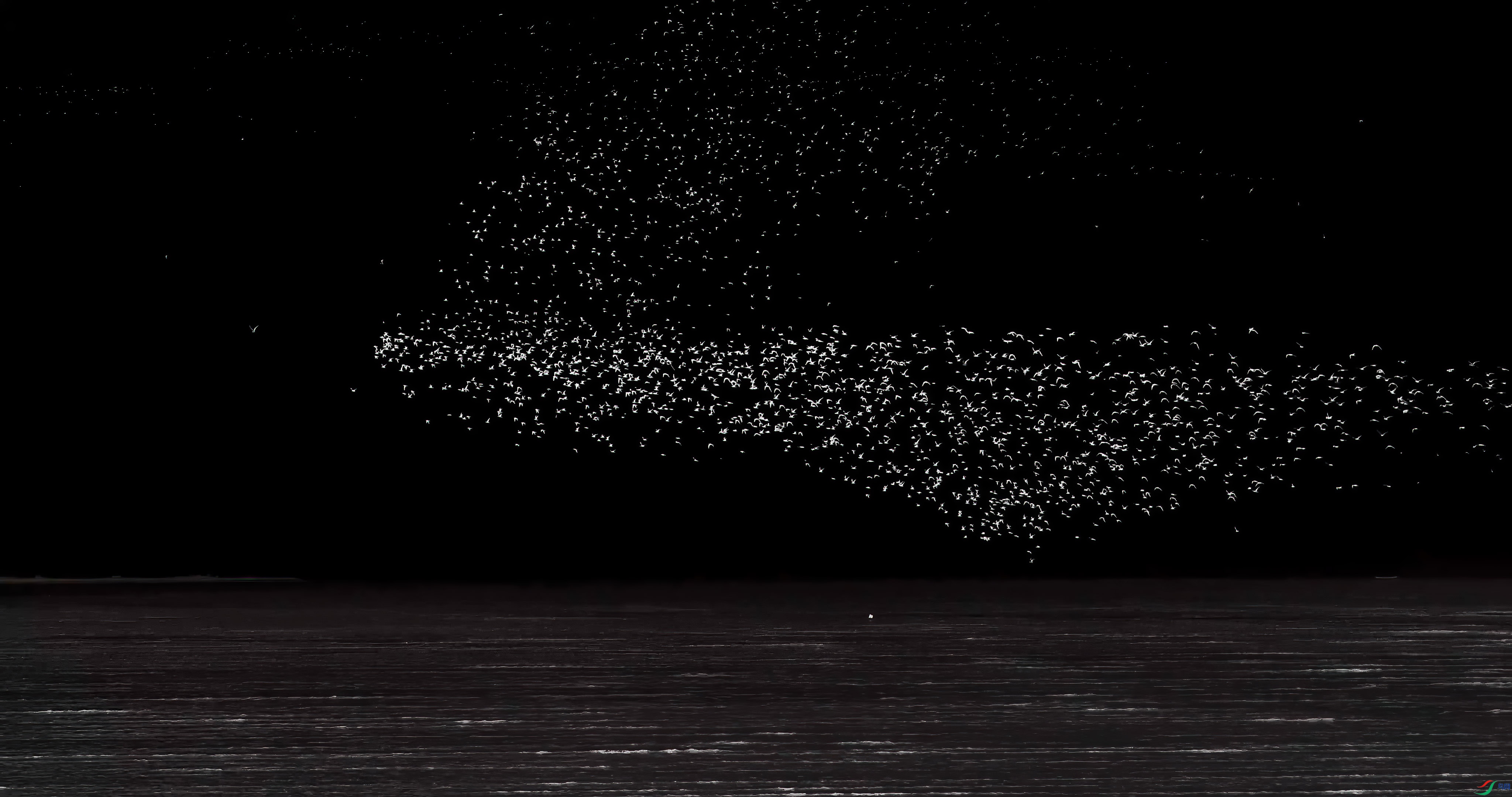 ��֡ 2025-07-22 195917_1.1.6.jpg